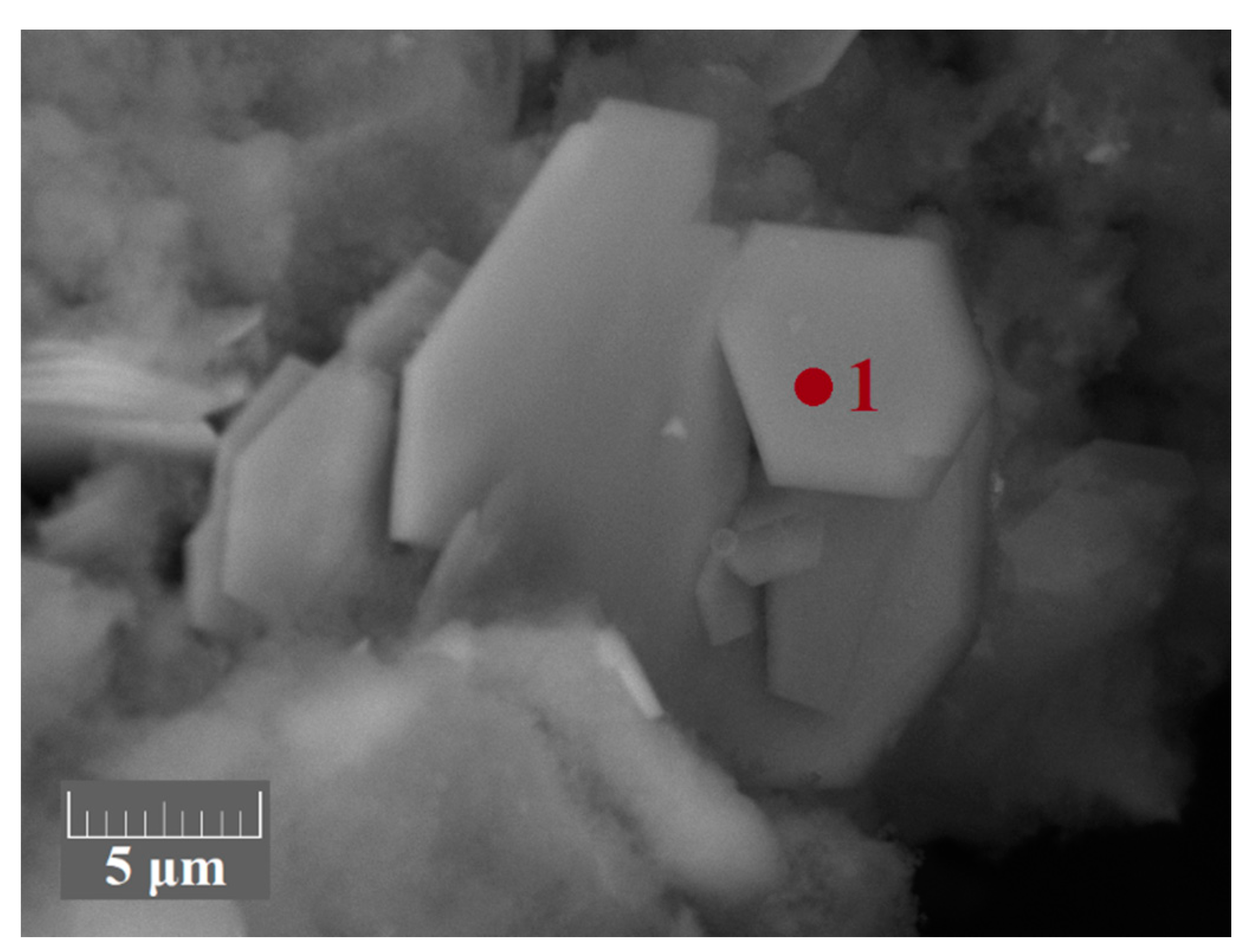 Metals 11 00469 g008