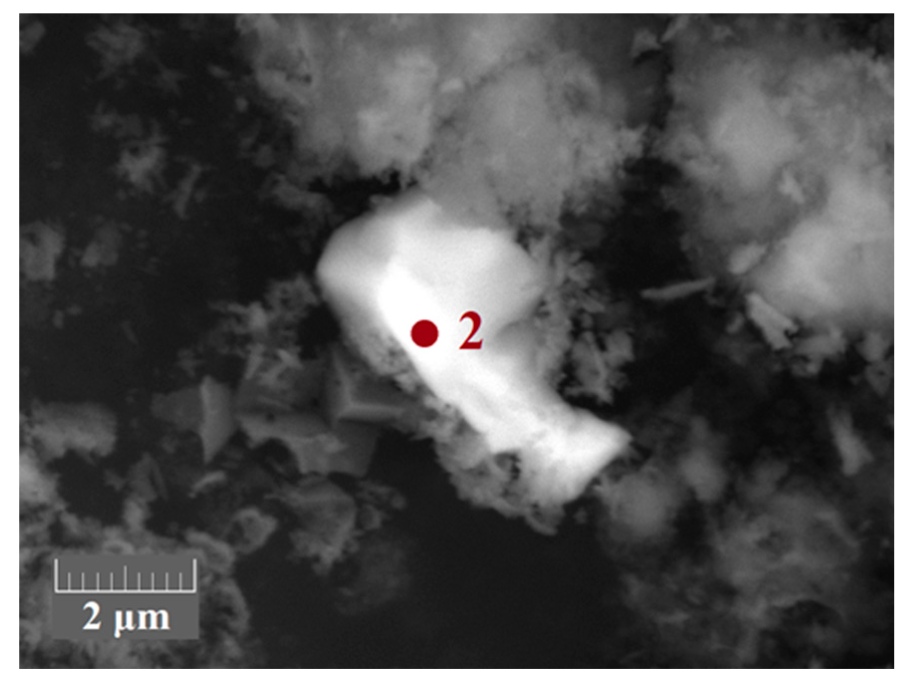 Metals 11 00469 g011