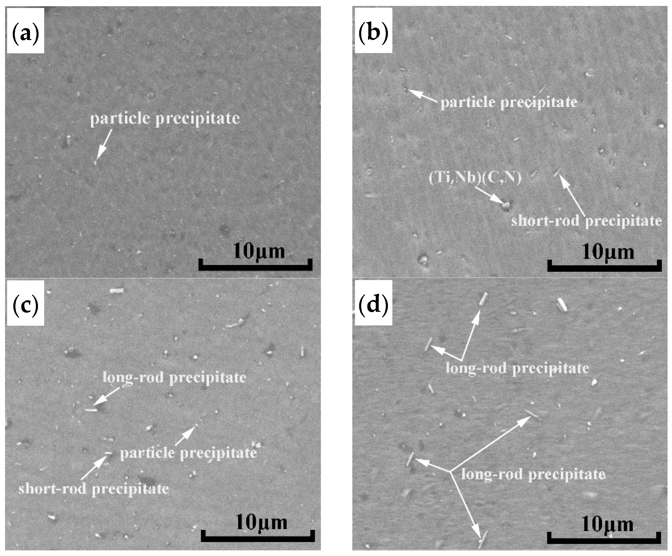 Metals 11 00474 g009