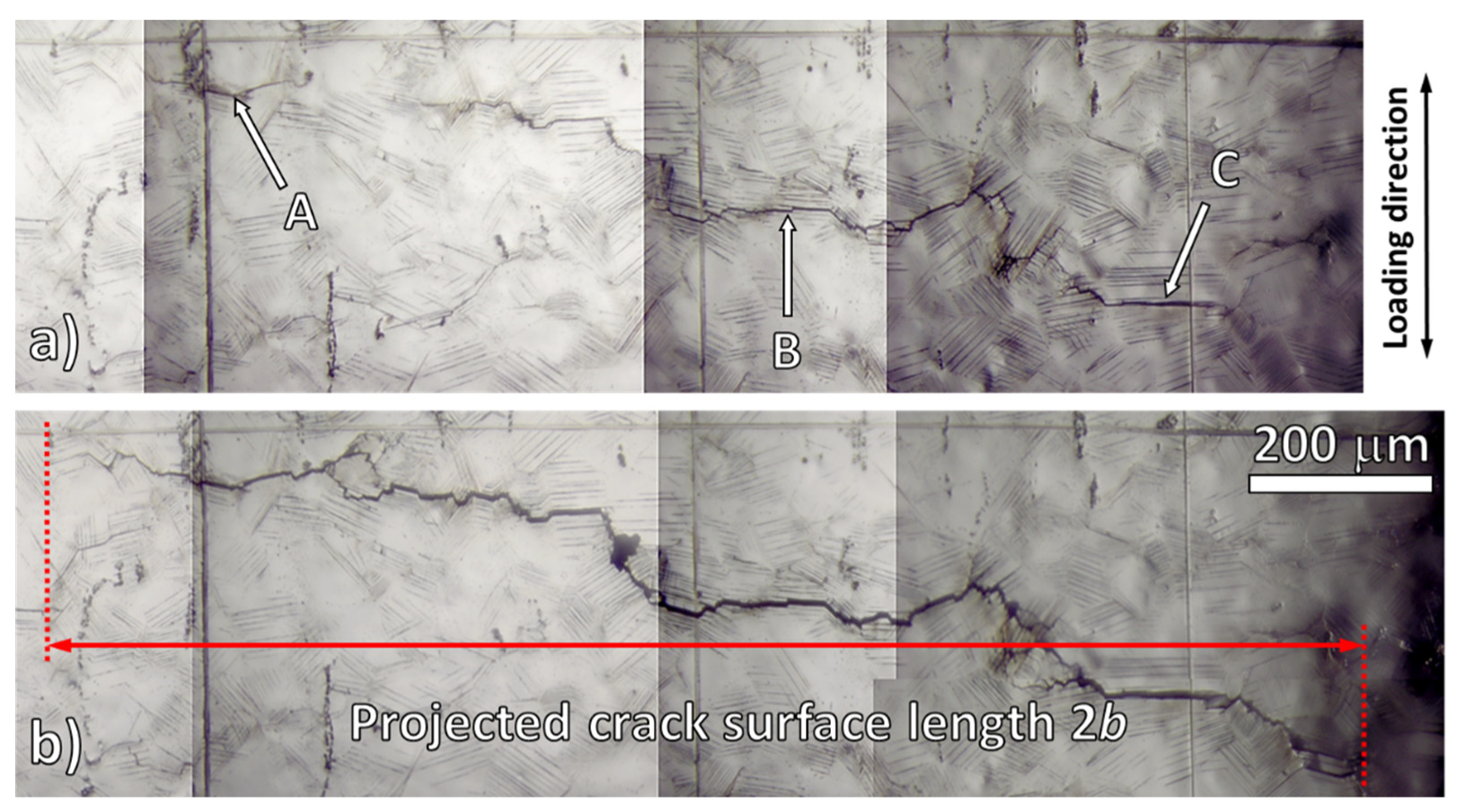 Metals 11 00475 g004