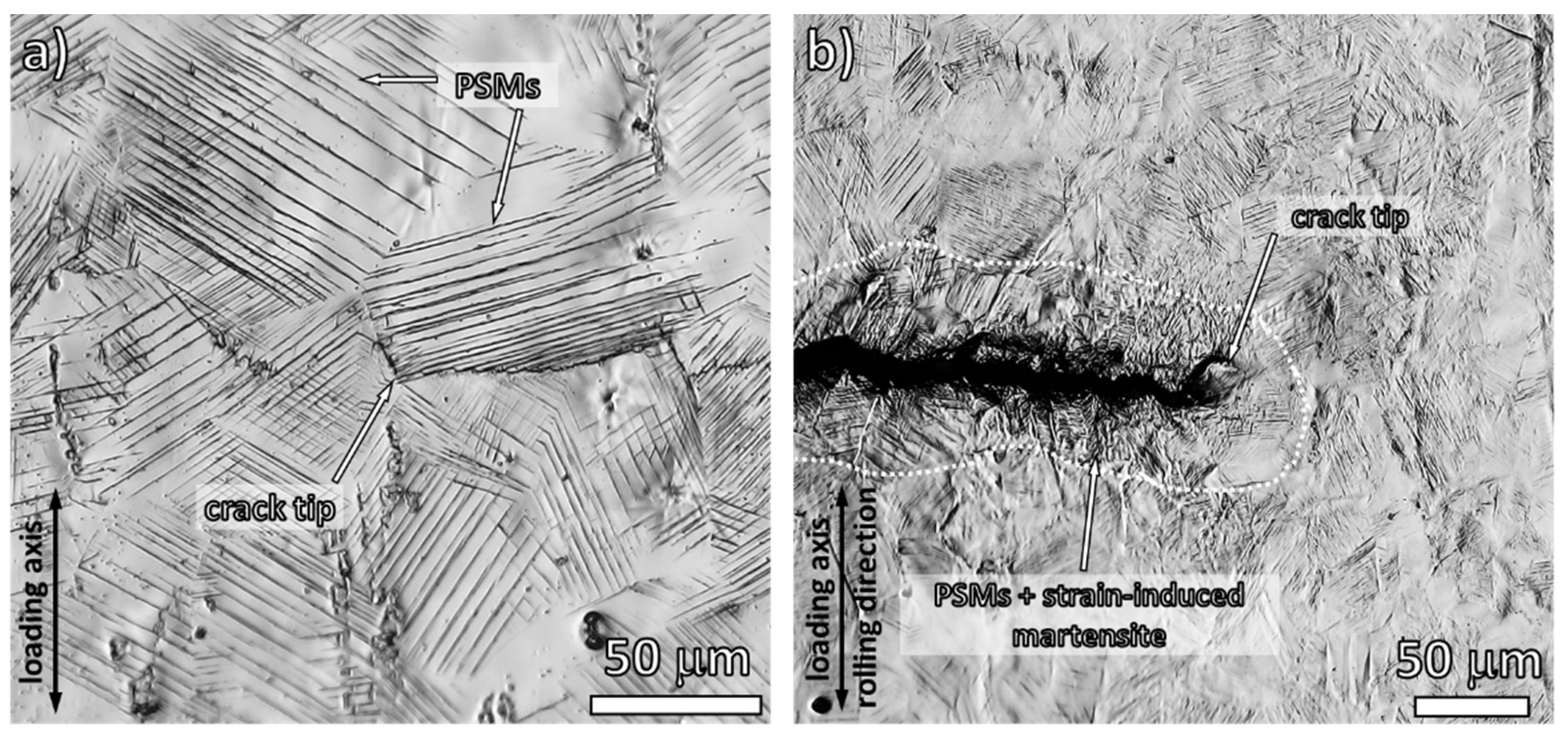 Metals 11 00475 g006