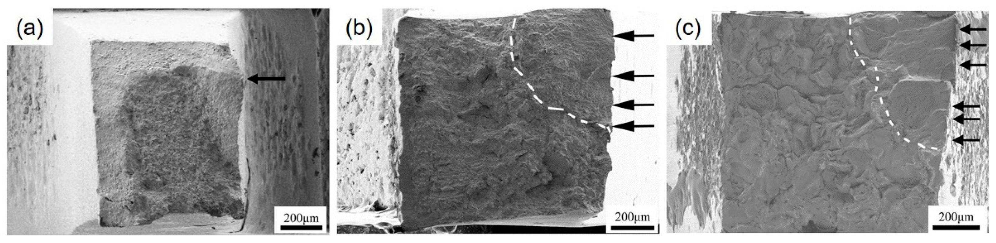 Metals 11 00477 g005 Metals 11 00477 g005