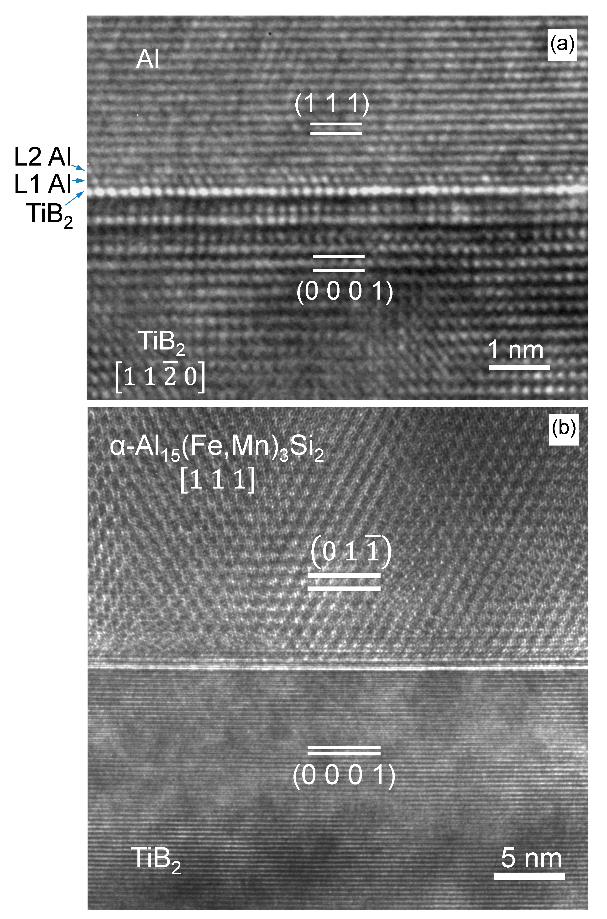 Metals 11 00478 g010