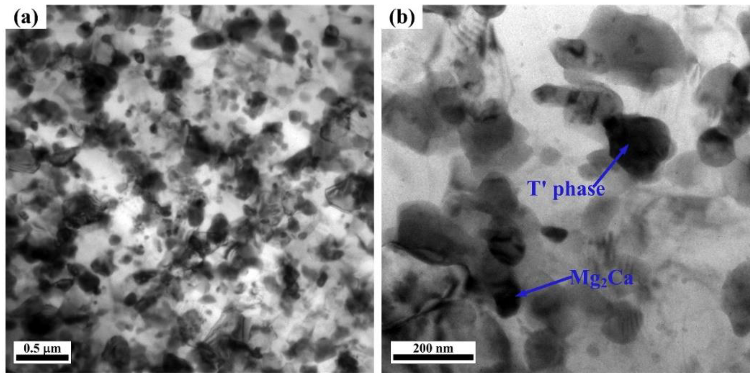 Metals 11 00480 g002