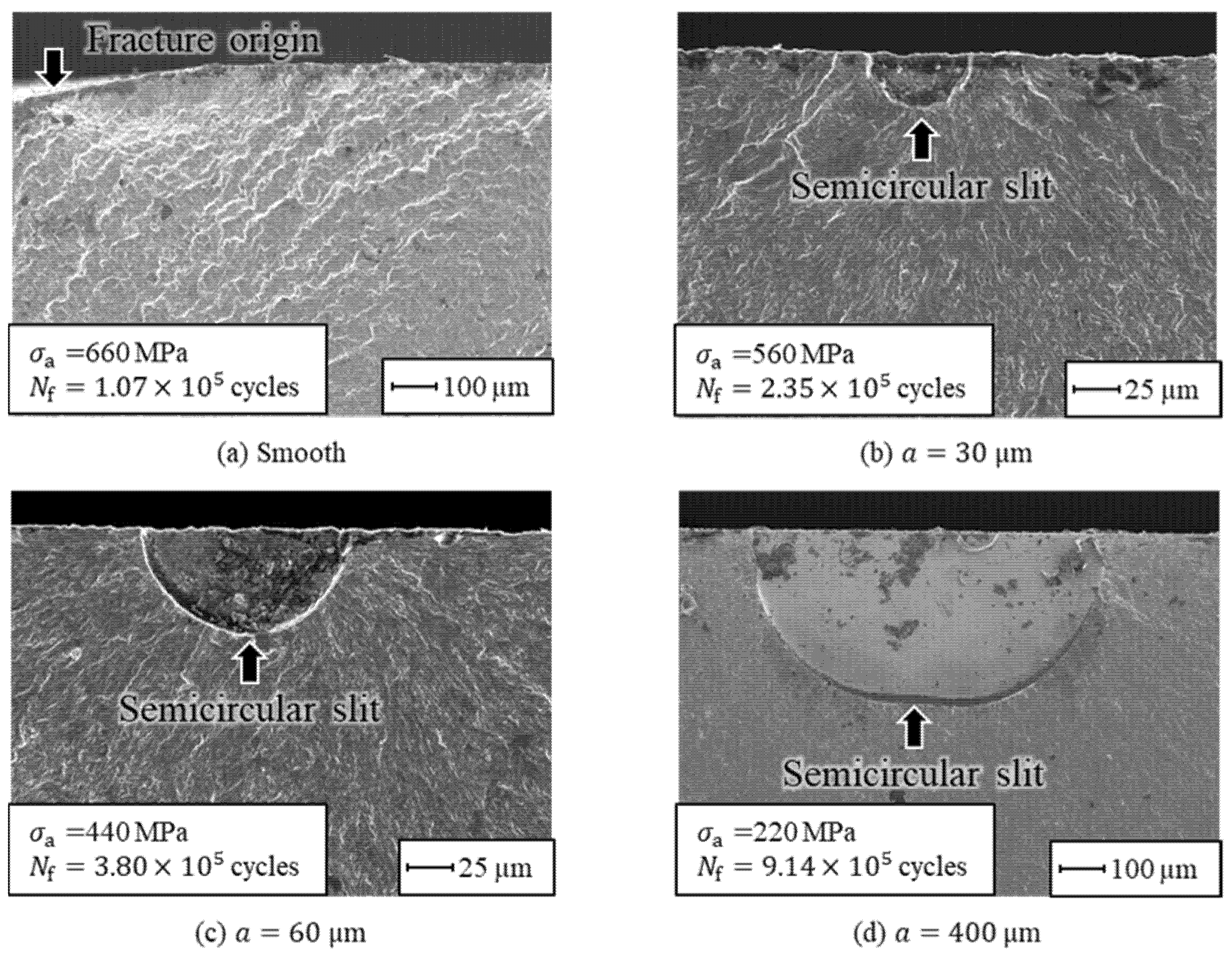 Metals 11 00483 g008