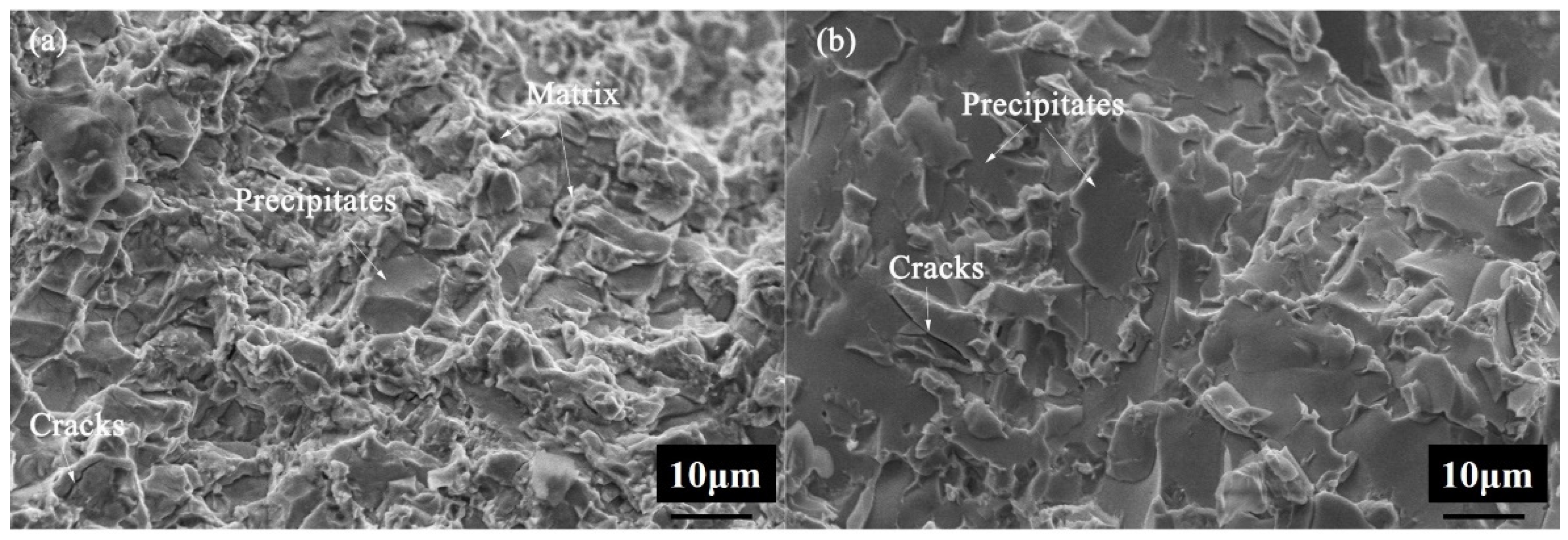 Metals 11 00486 g007