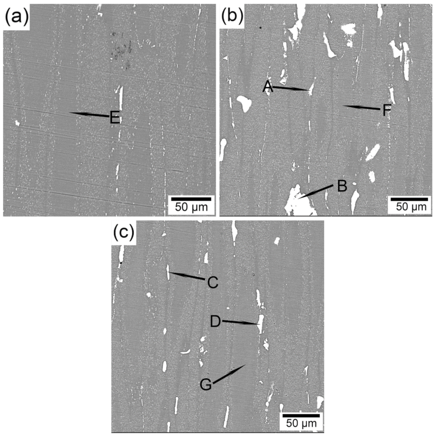 Metals 11 00487 g005