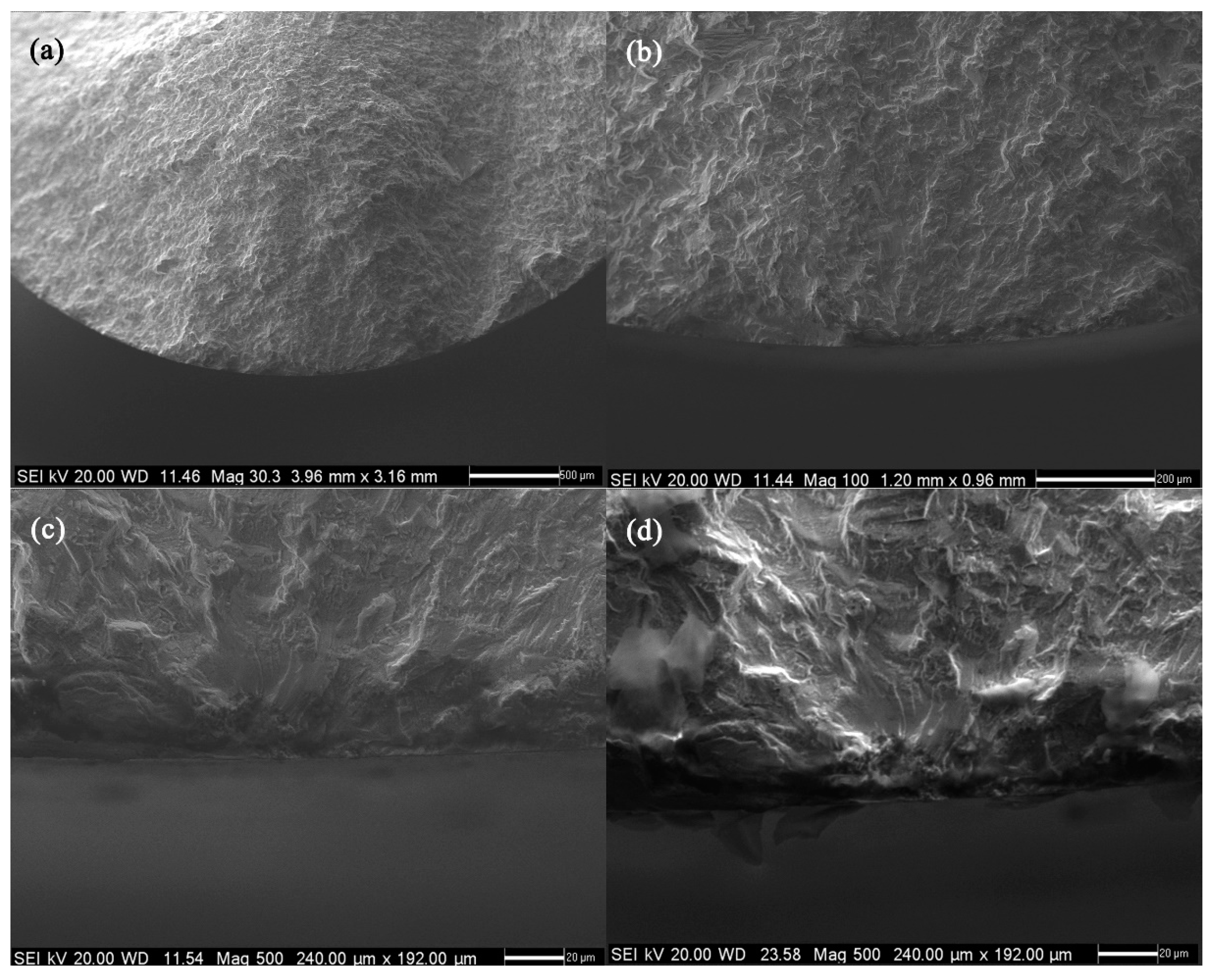 Metals 11 00489 g010