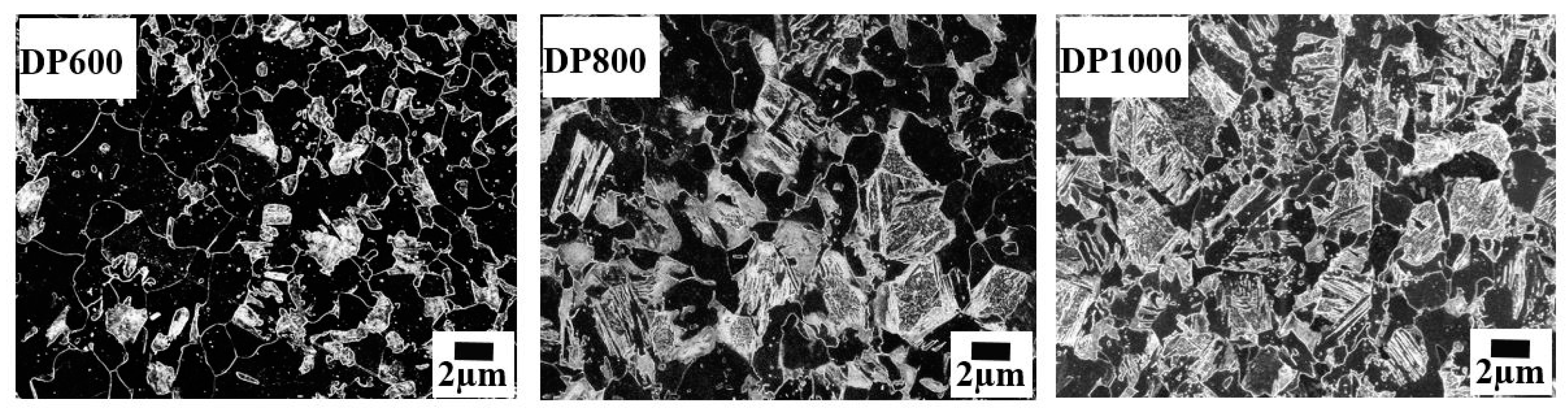 Metals 11 00490 g001