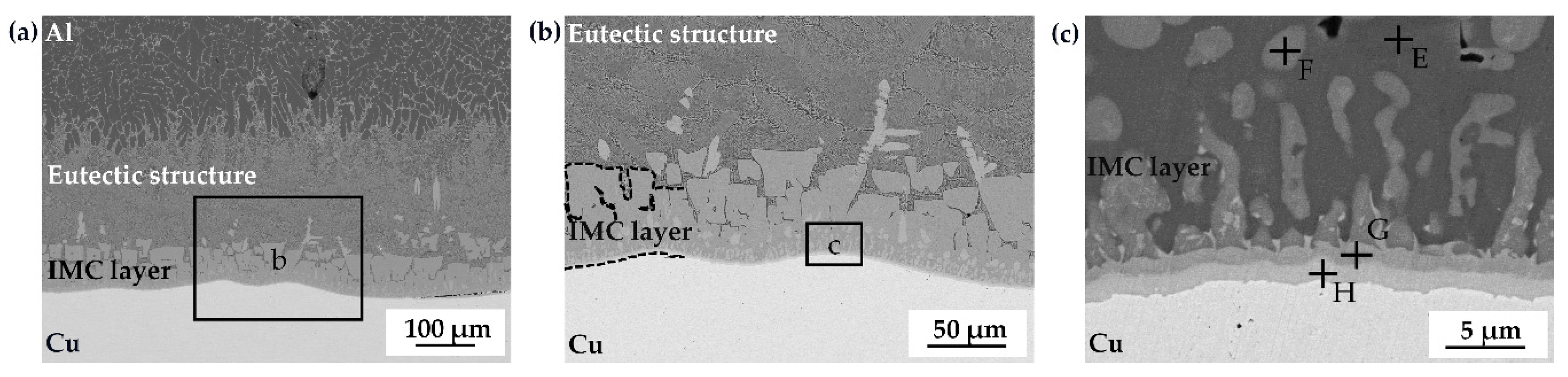 Metals 11 00491 g005