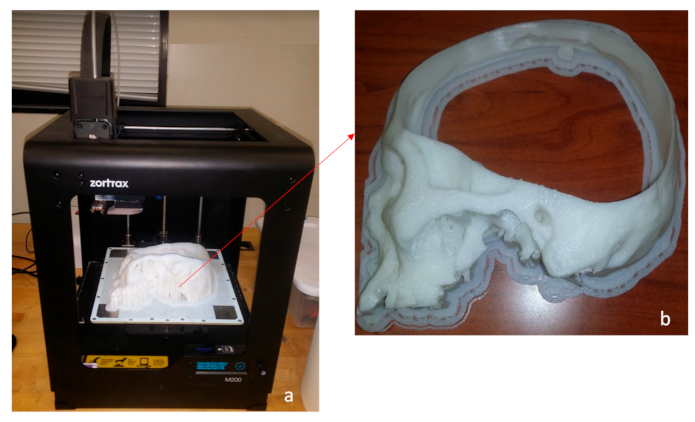 Metals 11 00496 g003