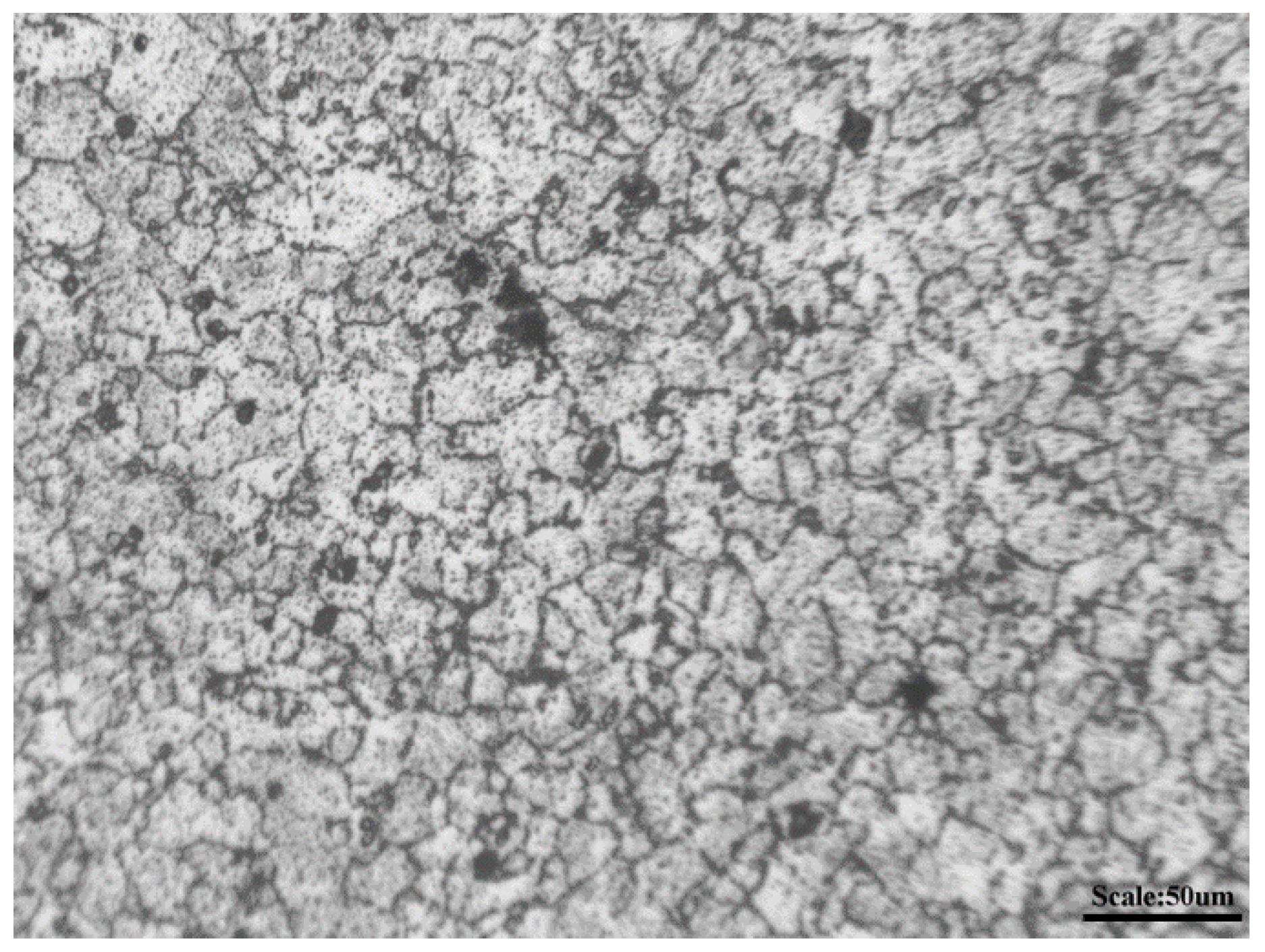 Metals 11 00497 g001