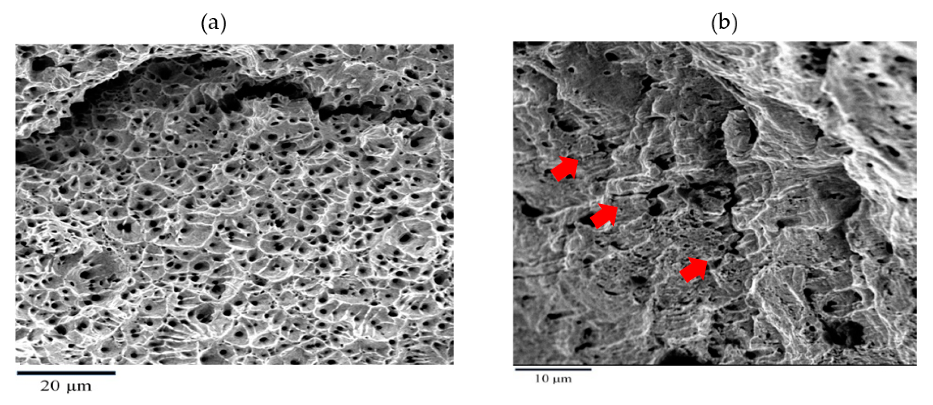 Metals 11 00500 g003 Metals 11 00500 g003