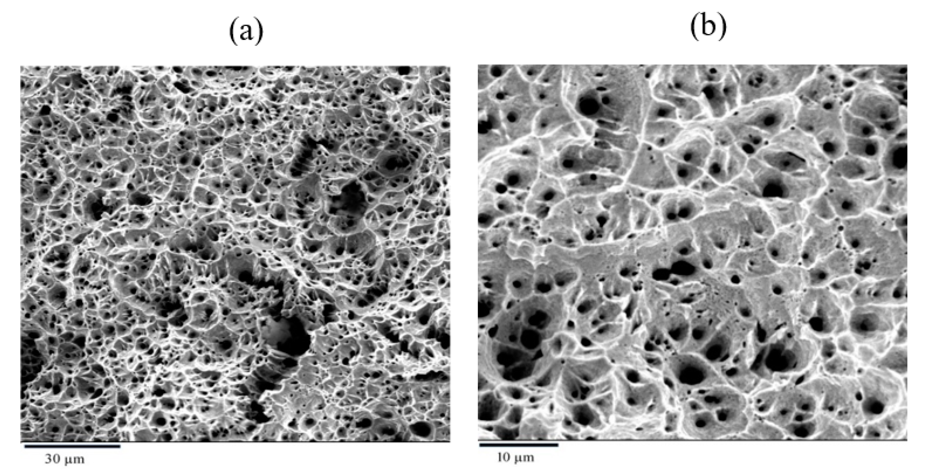 Metals 11 00500 g005 Metals 11 00500 g005