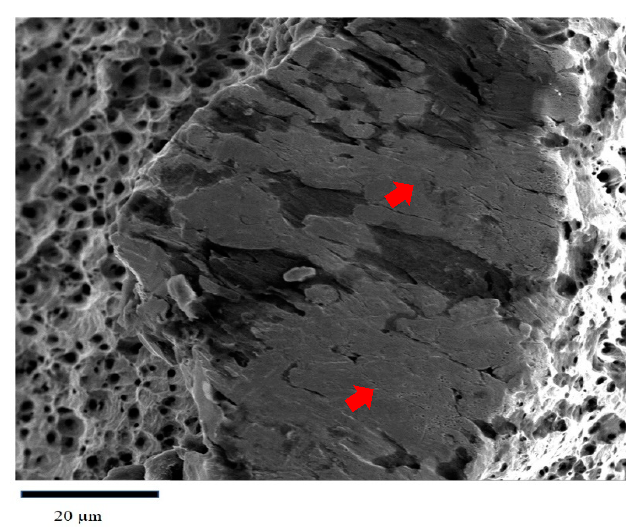 Metals 11 00500 g007 Metals 11 00500 g007