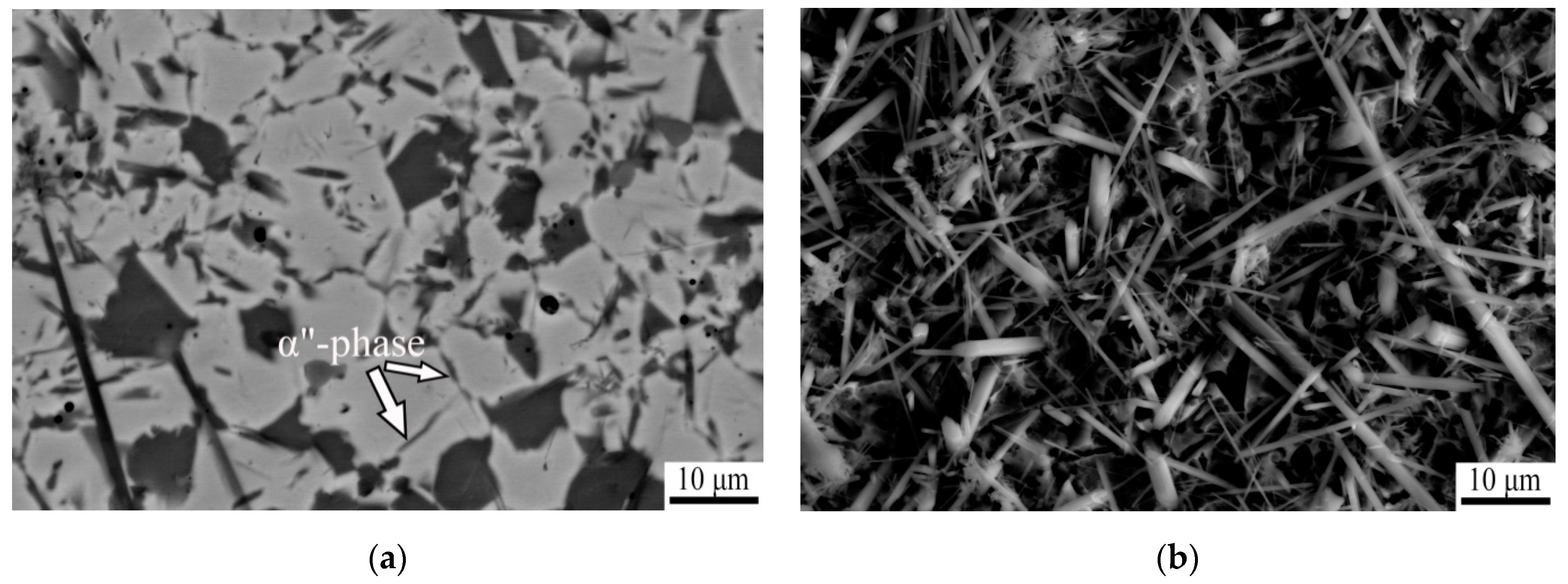 Metals 11 00506 g001a Metals 11 00506 g001a