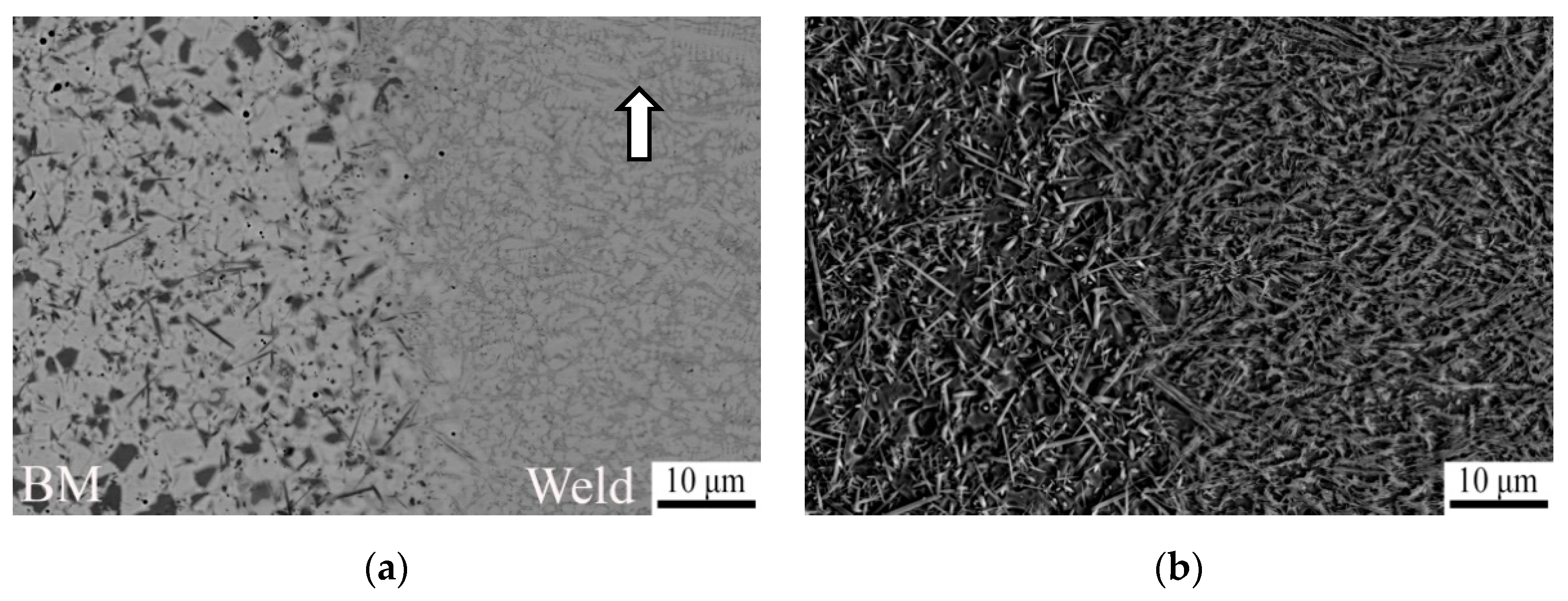 Metals 11 00506 g004a Metals 11 00506 g004a