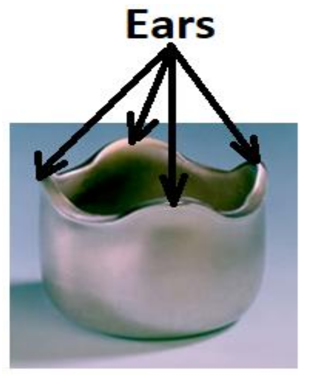 Metals 11 00507 g001