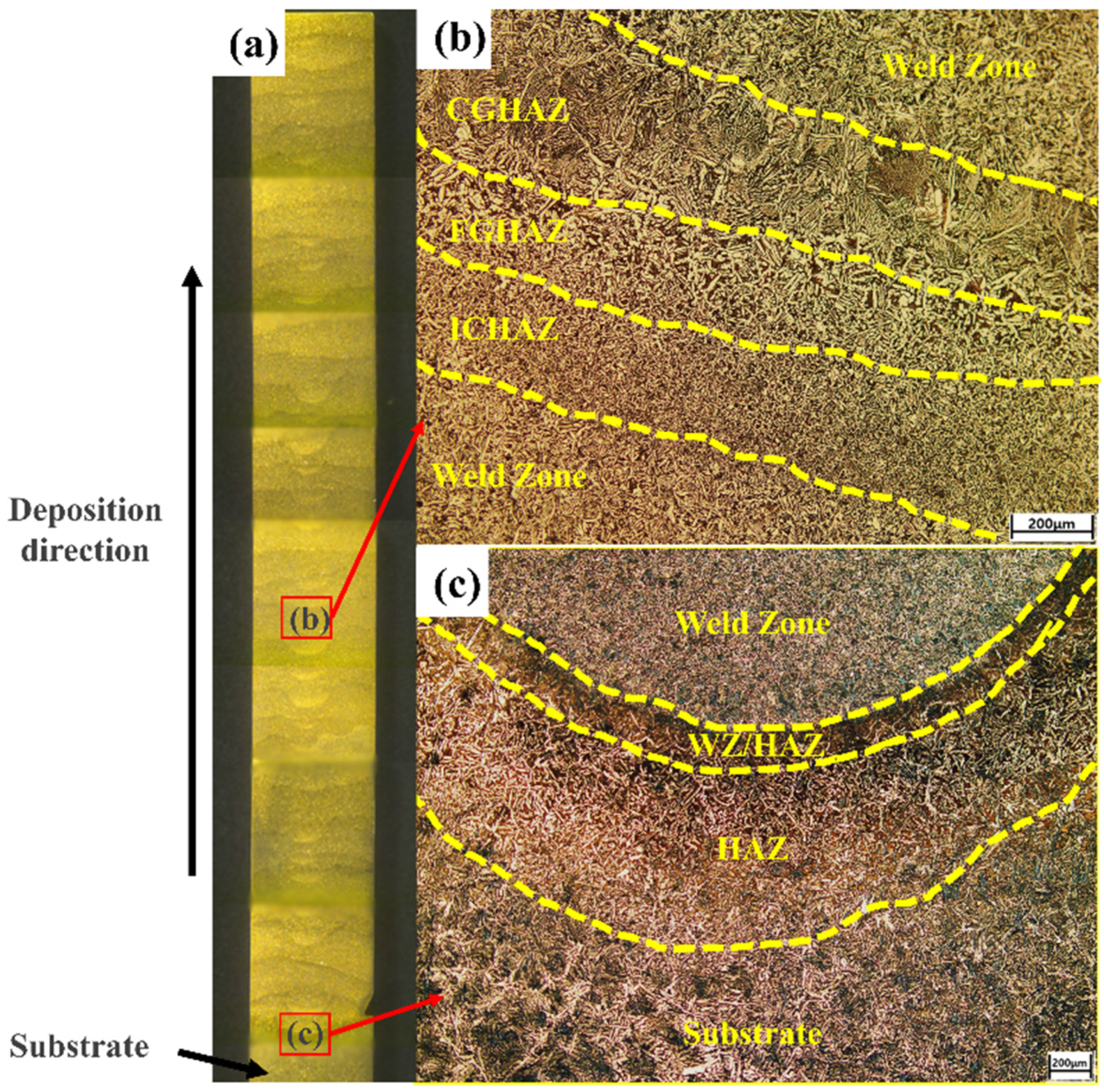 Metals 11 00513 g007