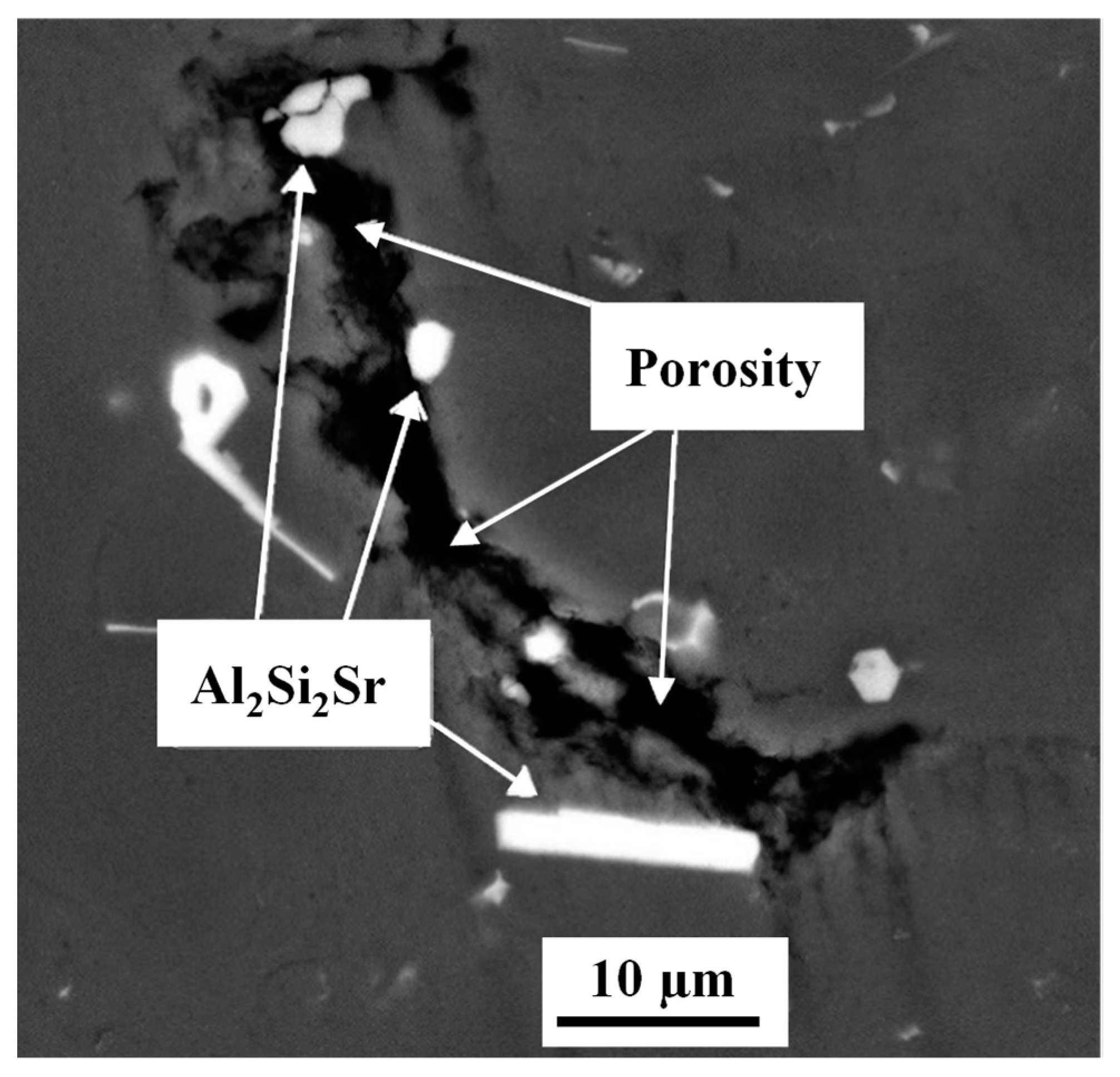 Metals 11 00517 g012