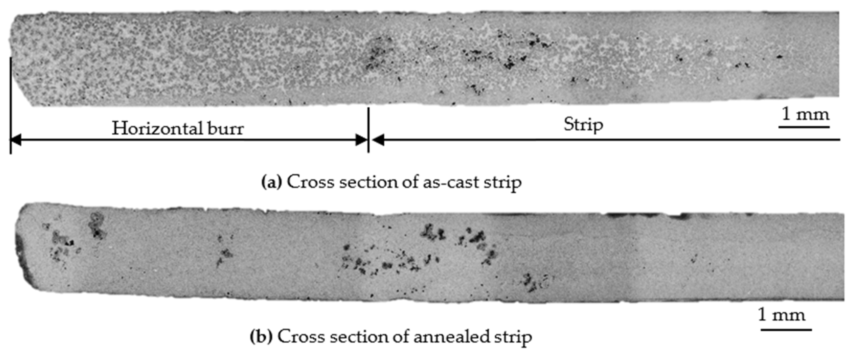 Metals 11 00520 g012