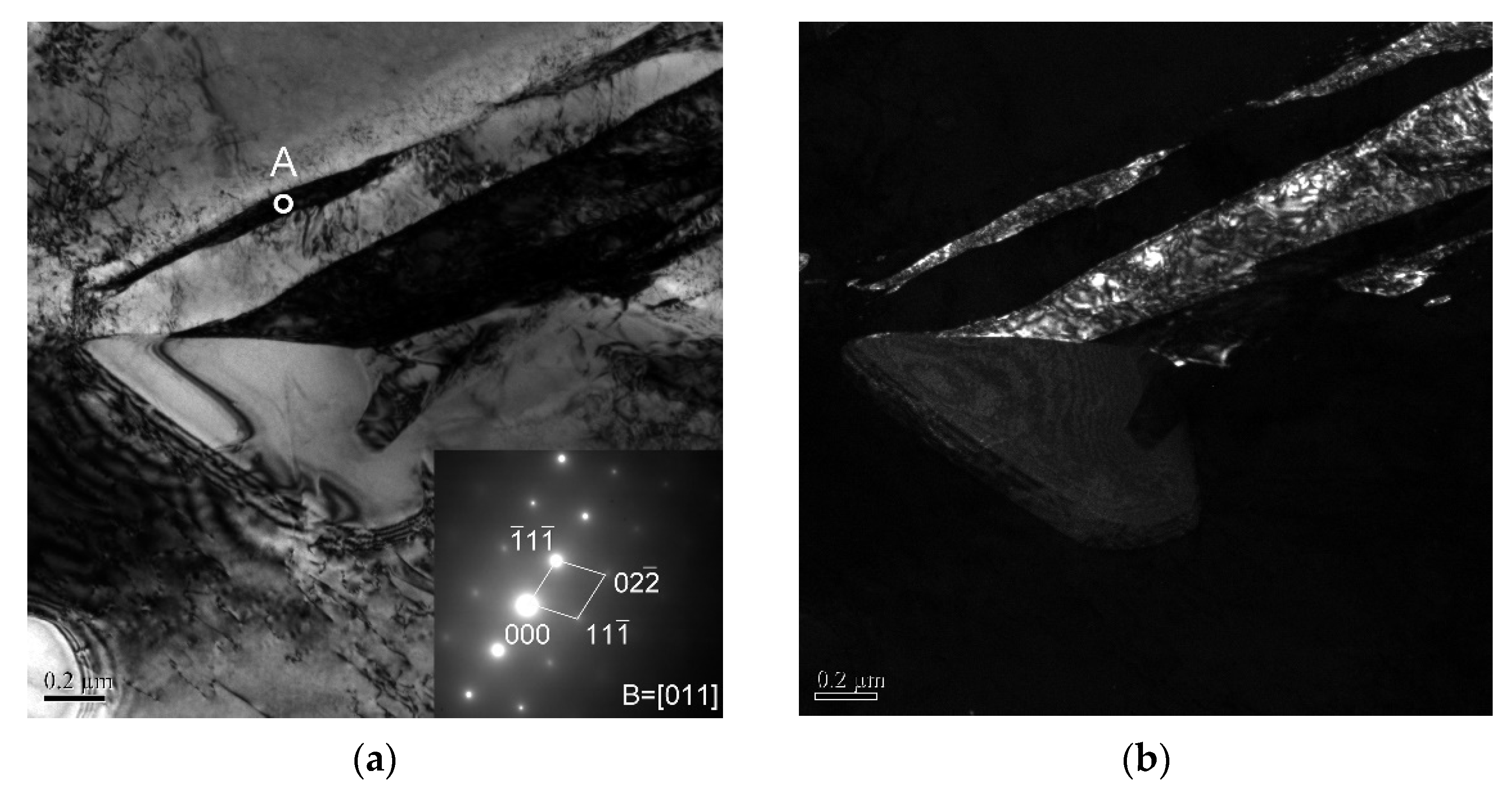 Metals 11 00523 g005