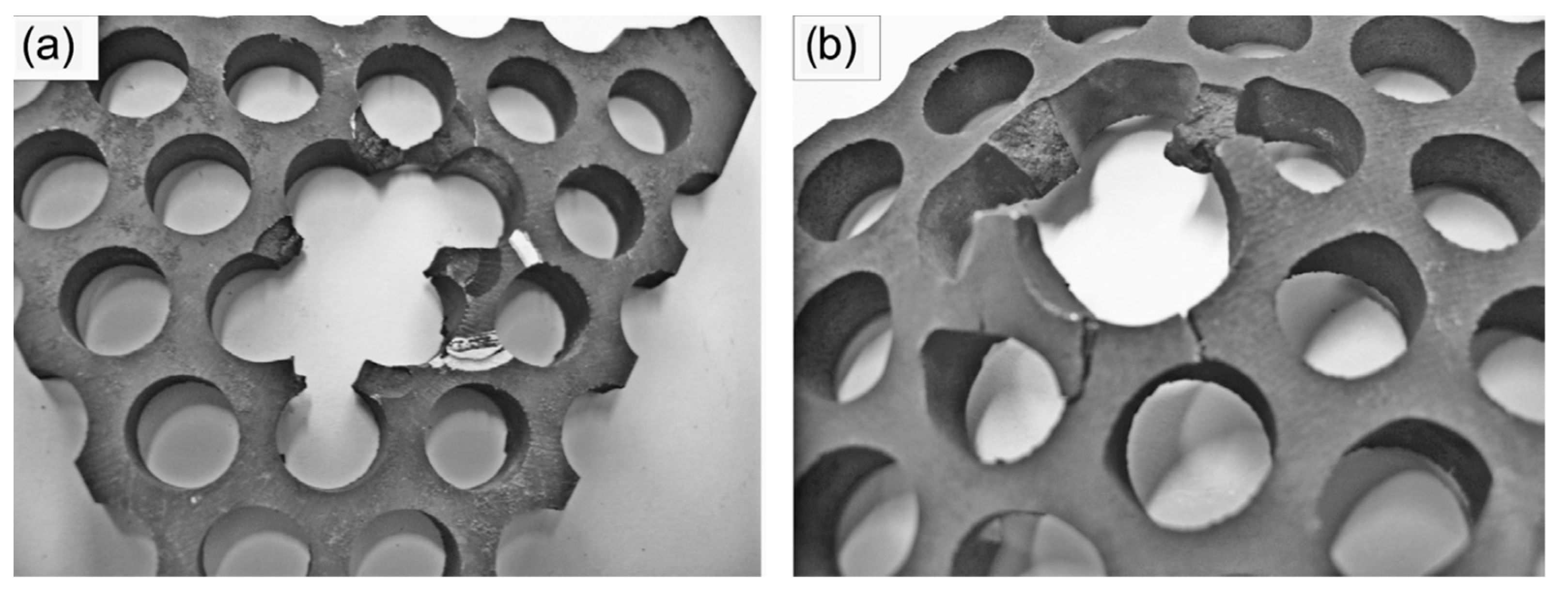 Metals 11 00526 g007