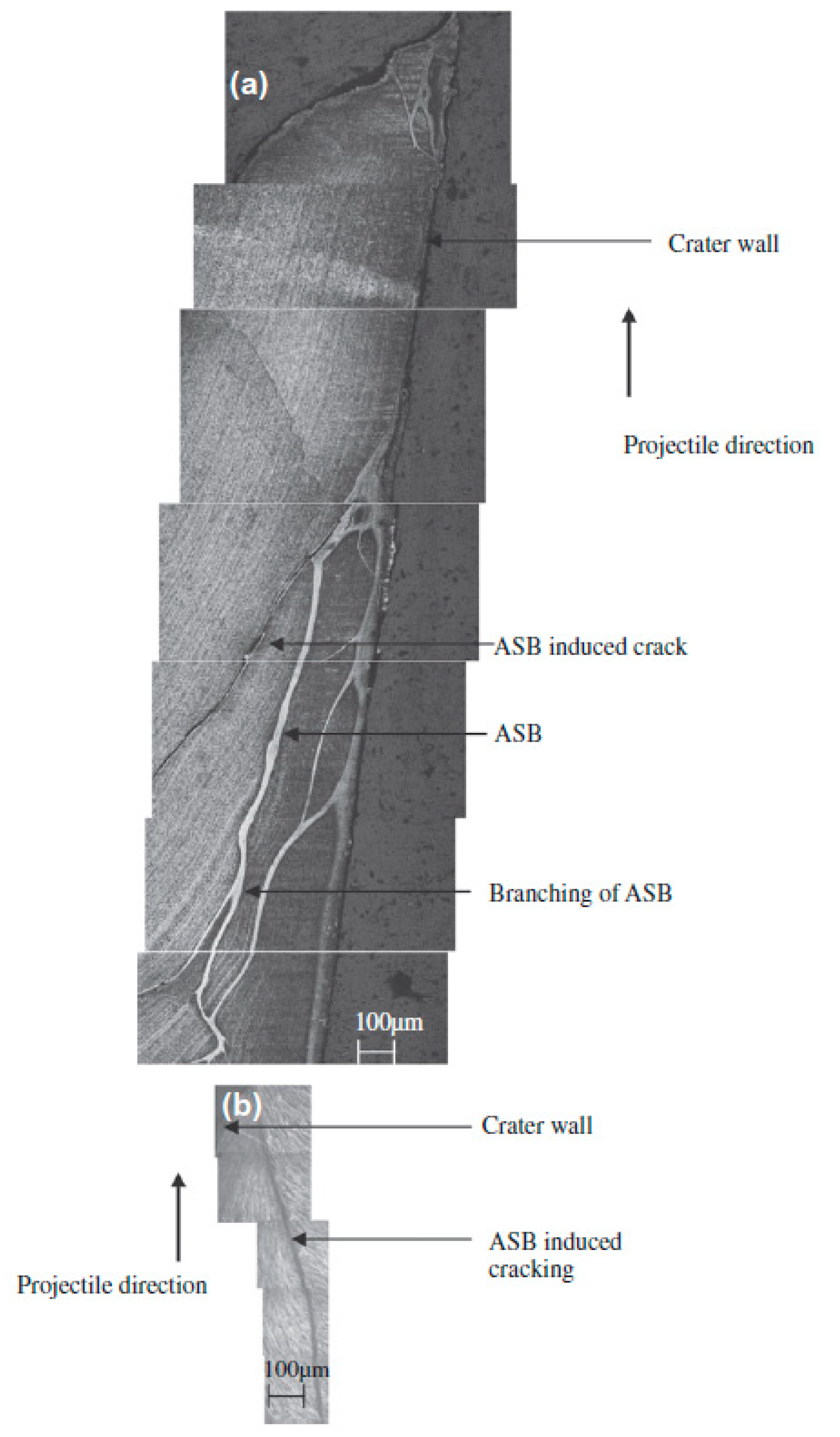 Metals 11 00526 g012