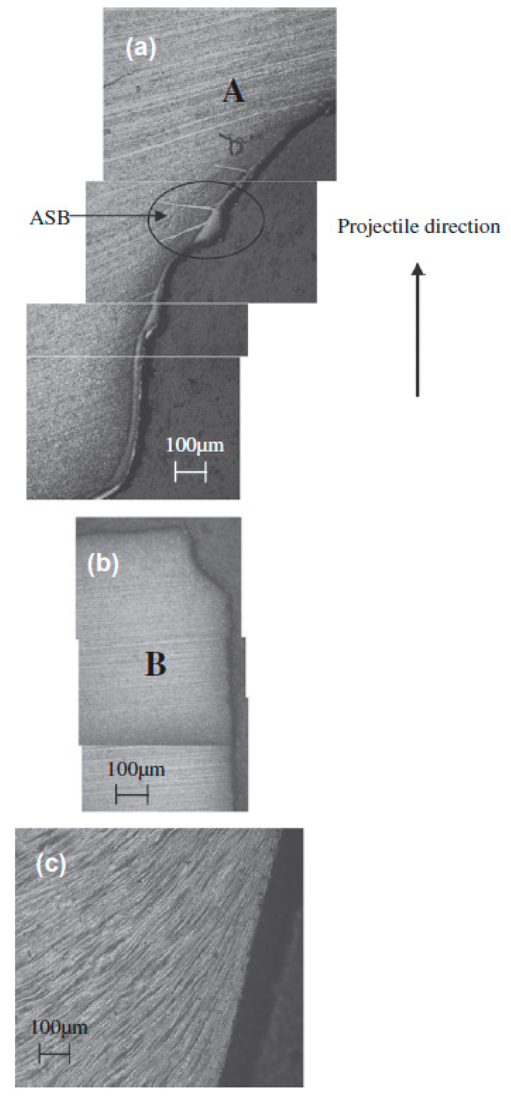 Metals 11 00526 g013