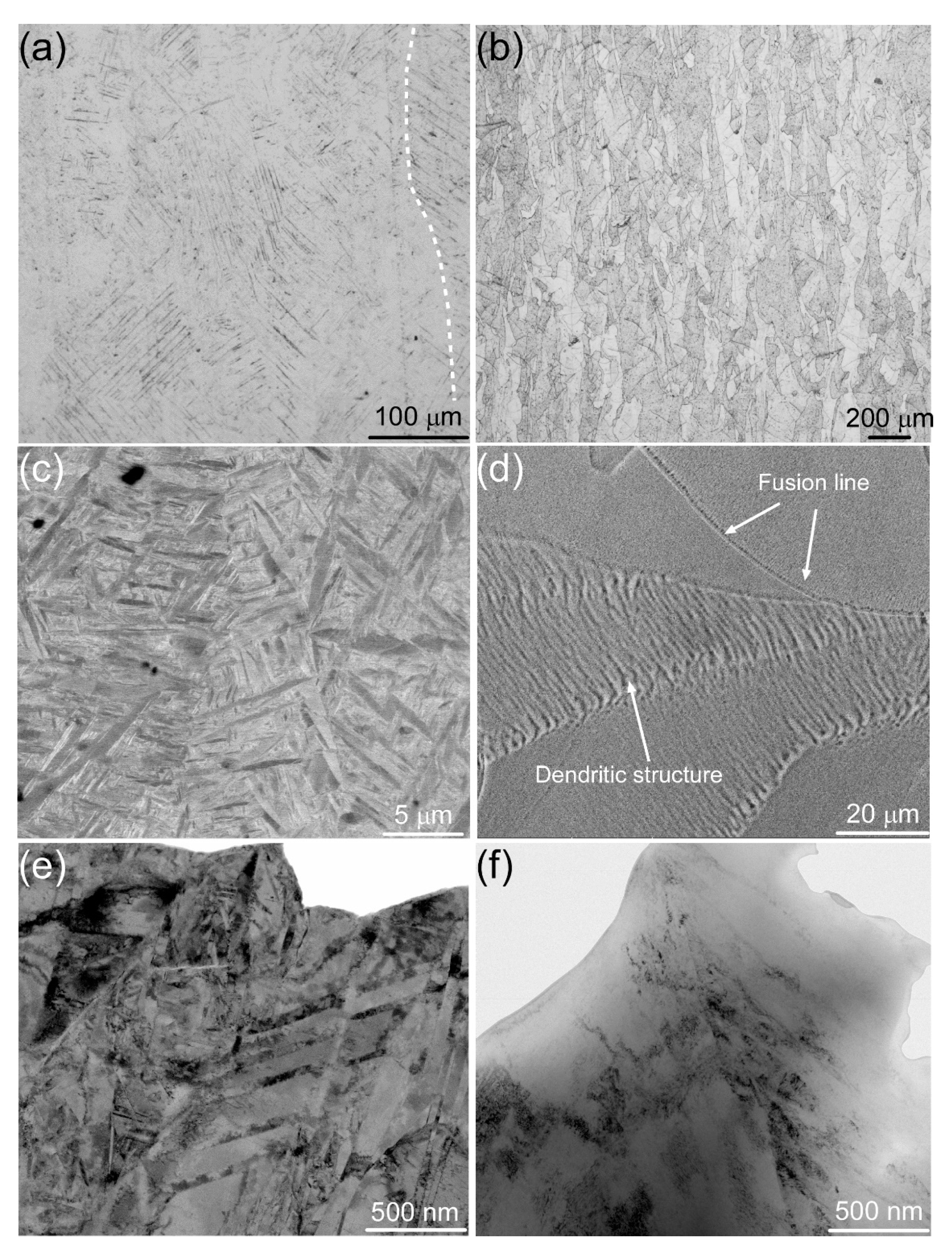 Metals 11 00534 g004