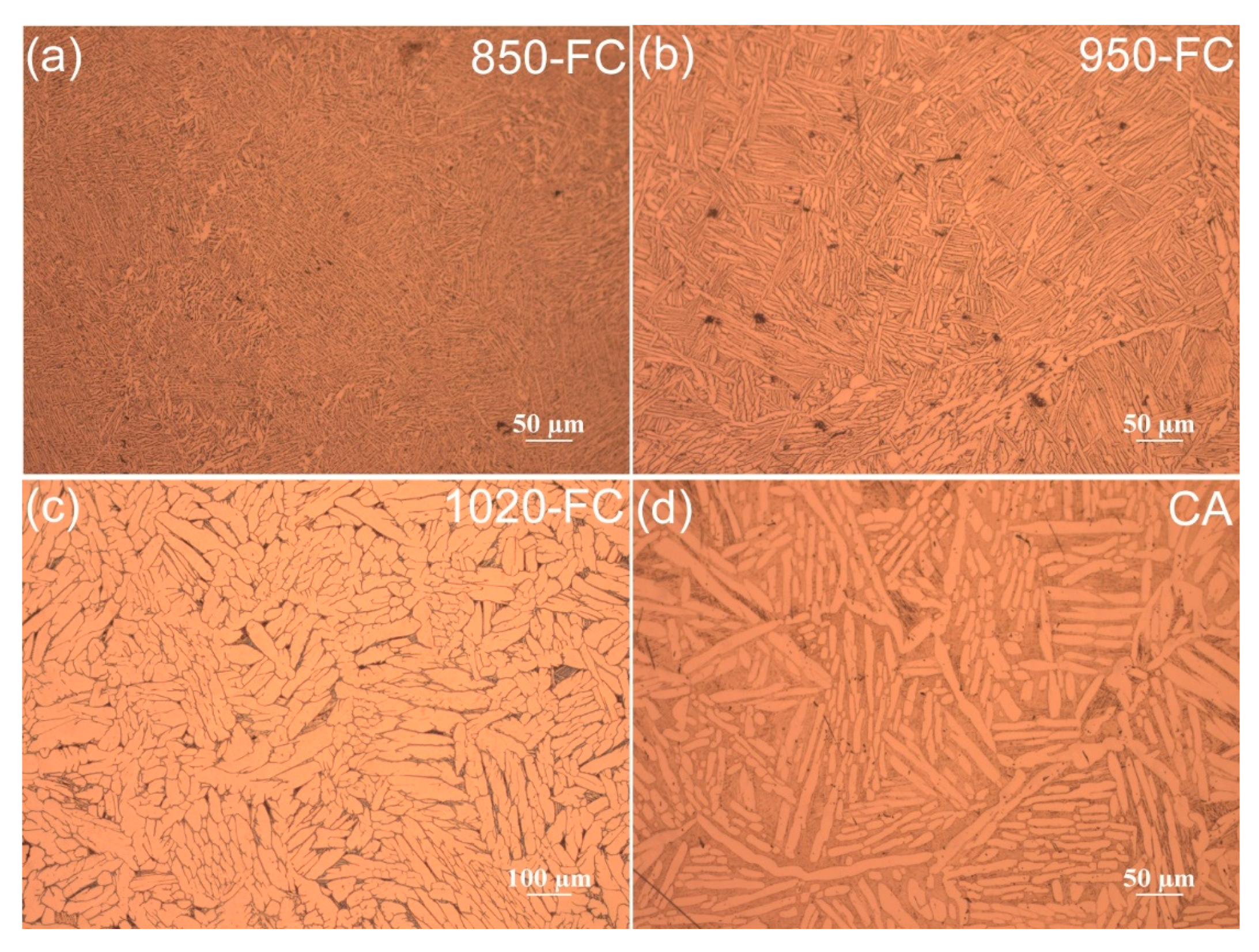 Metals 11 00534 g006