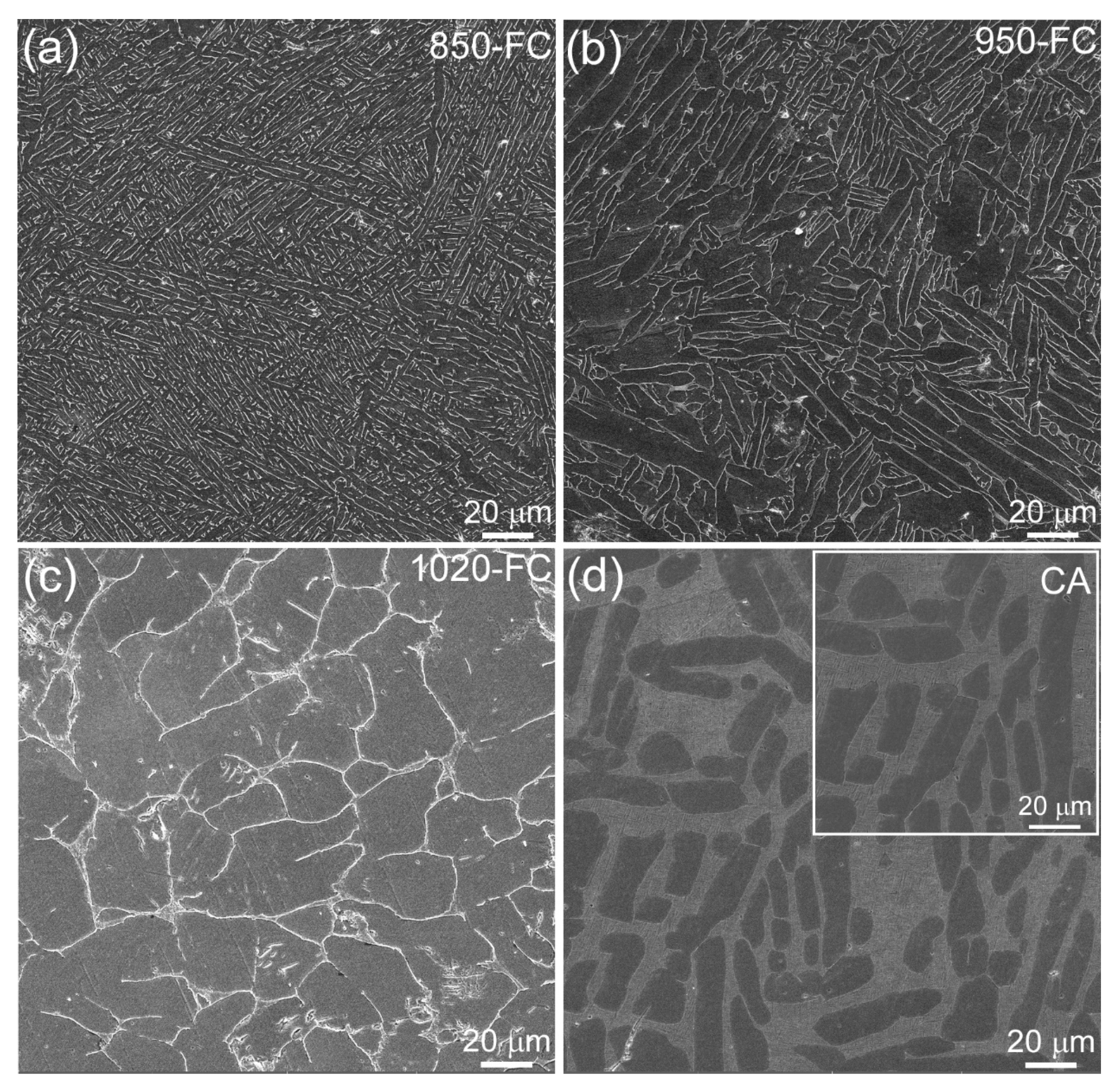 Metals 11 00534 g007