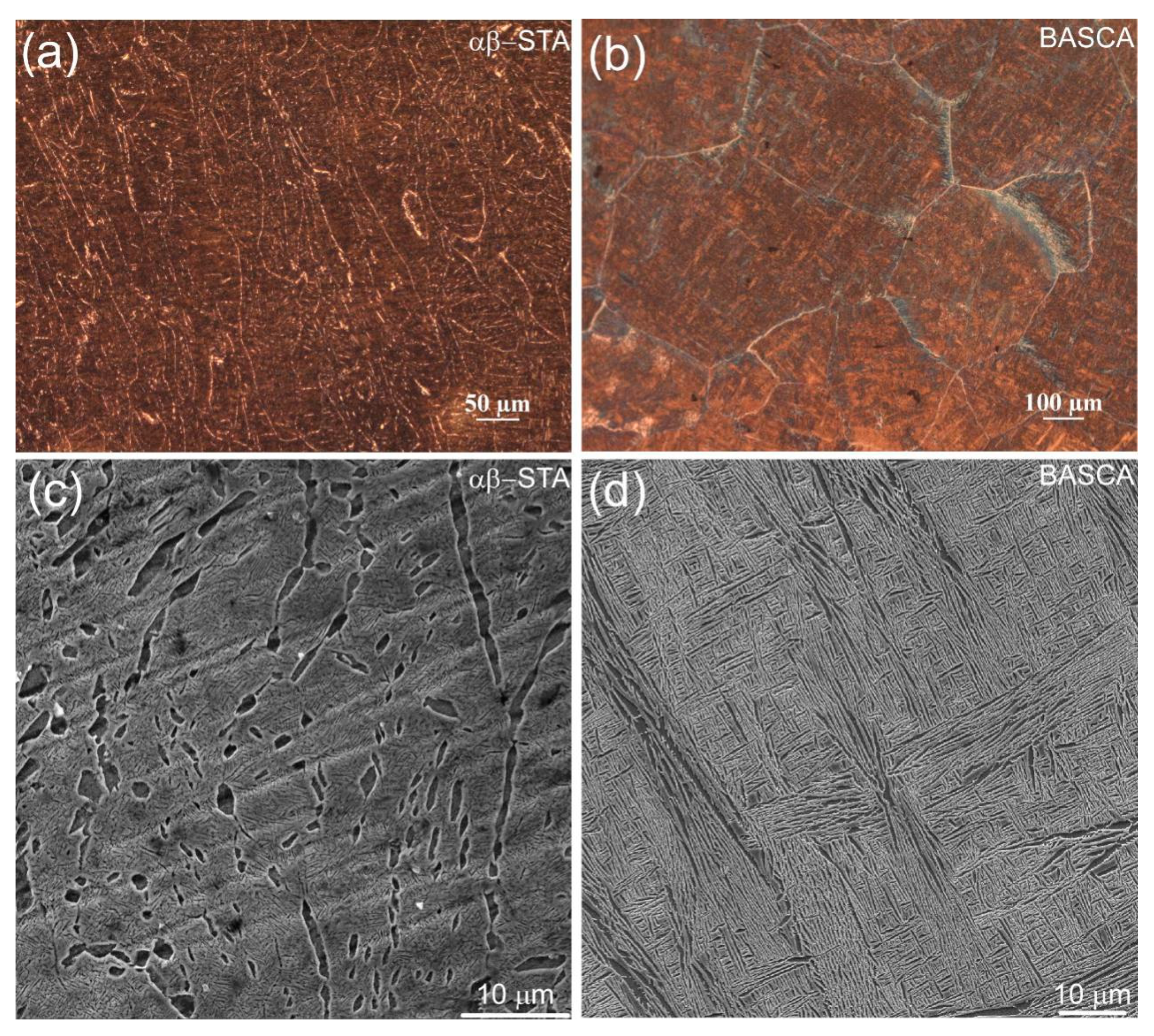 Metals 11 00534 g008