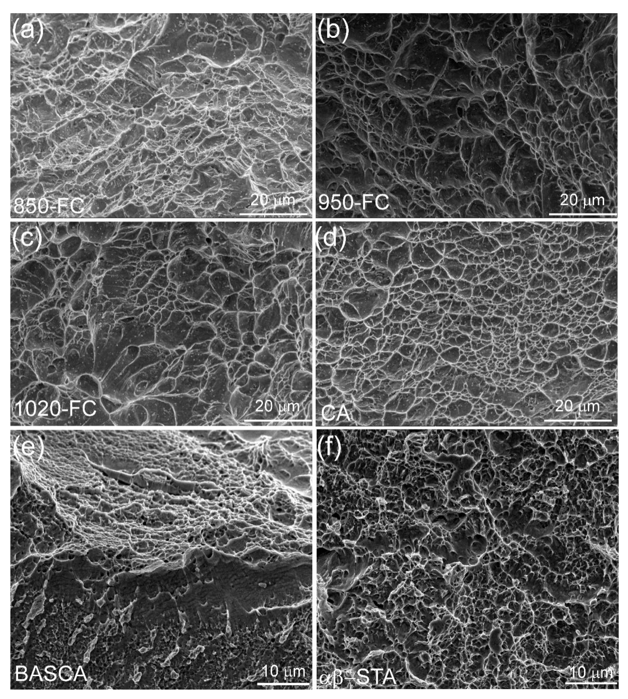 Metals 11 00534 g010