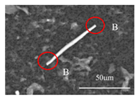 Metals 11 00543 i003