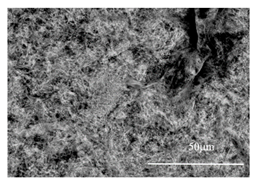 Metals 11 00543 i006