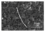 Metals 11 00543 i013