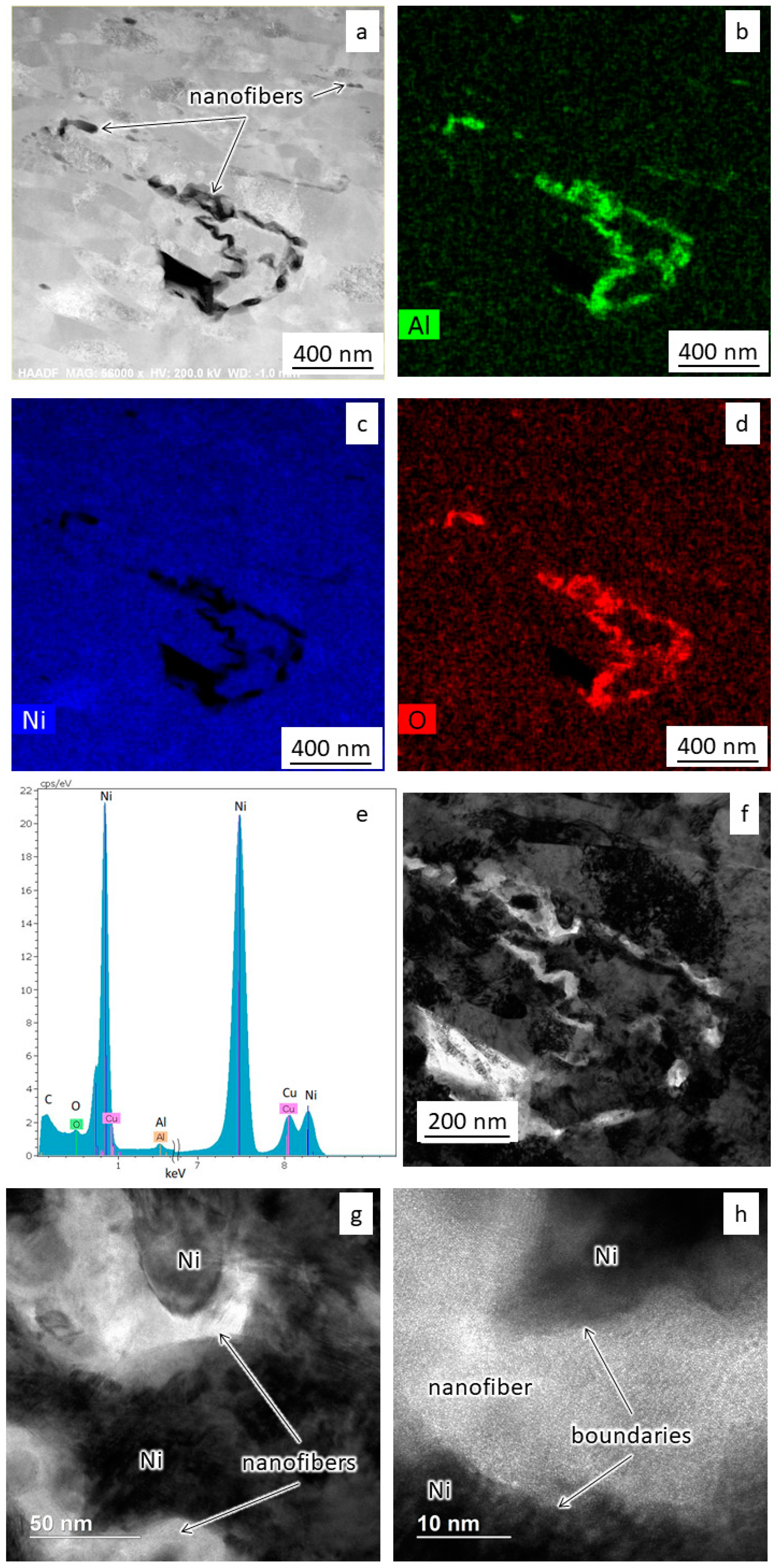 Metals 11 00548 g006