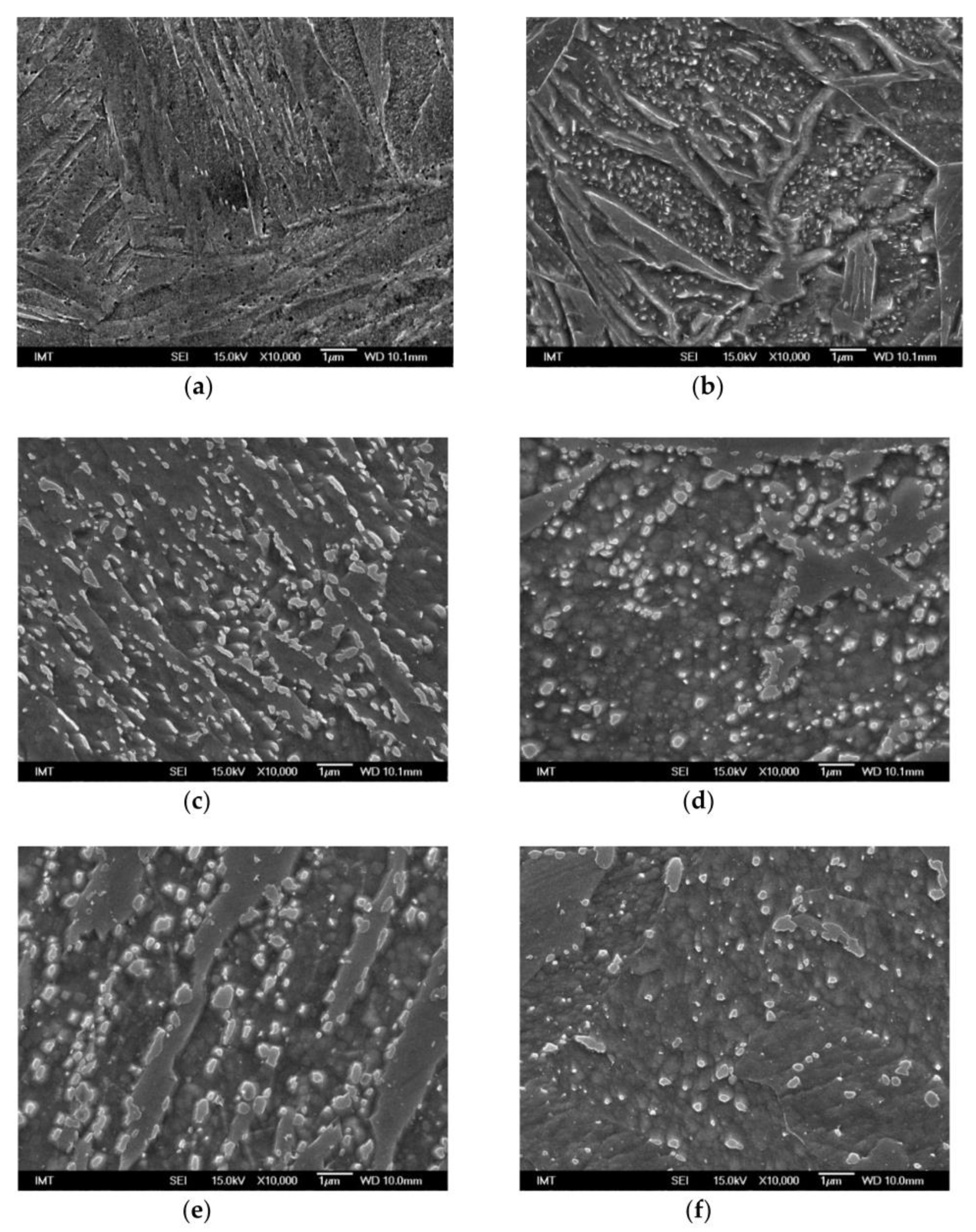 Metals 11 00558 g004