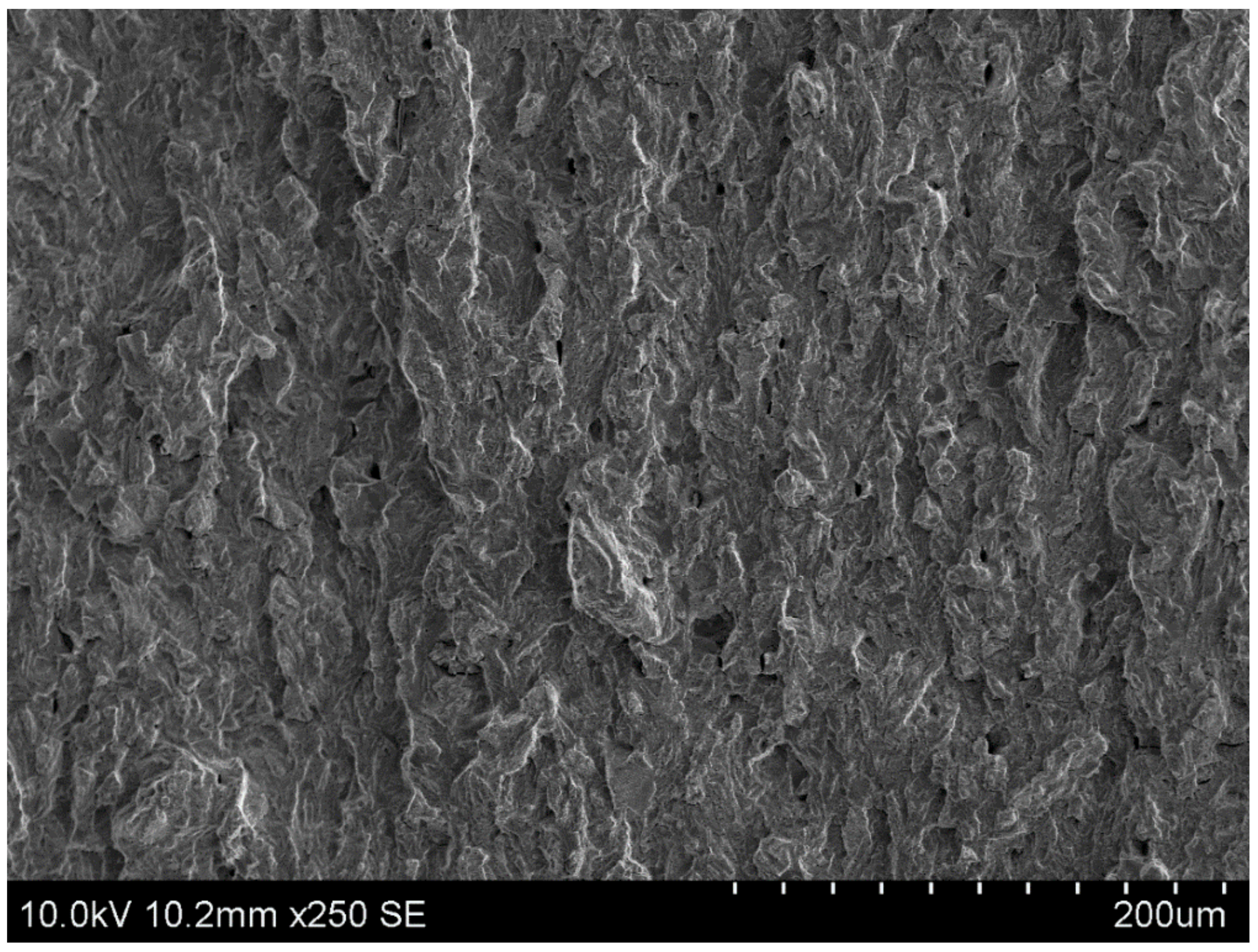 Metals 11 00584 g010