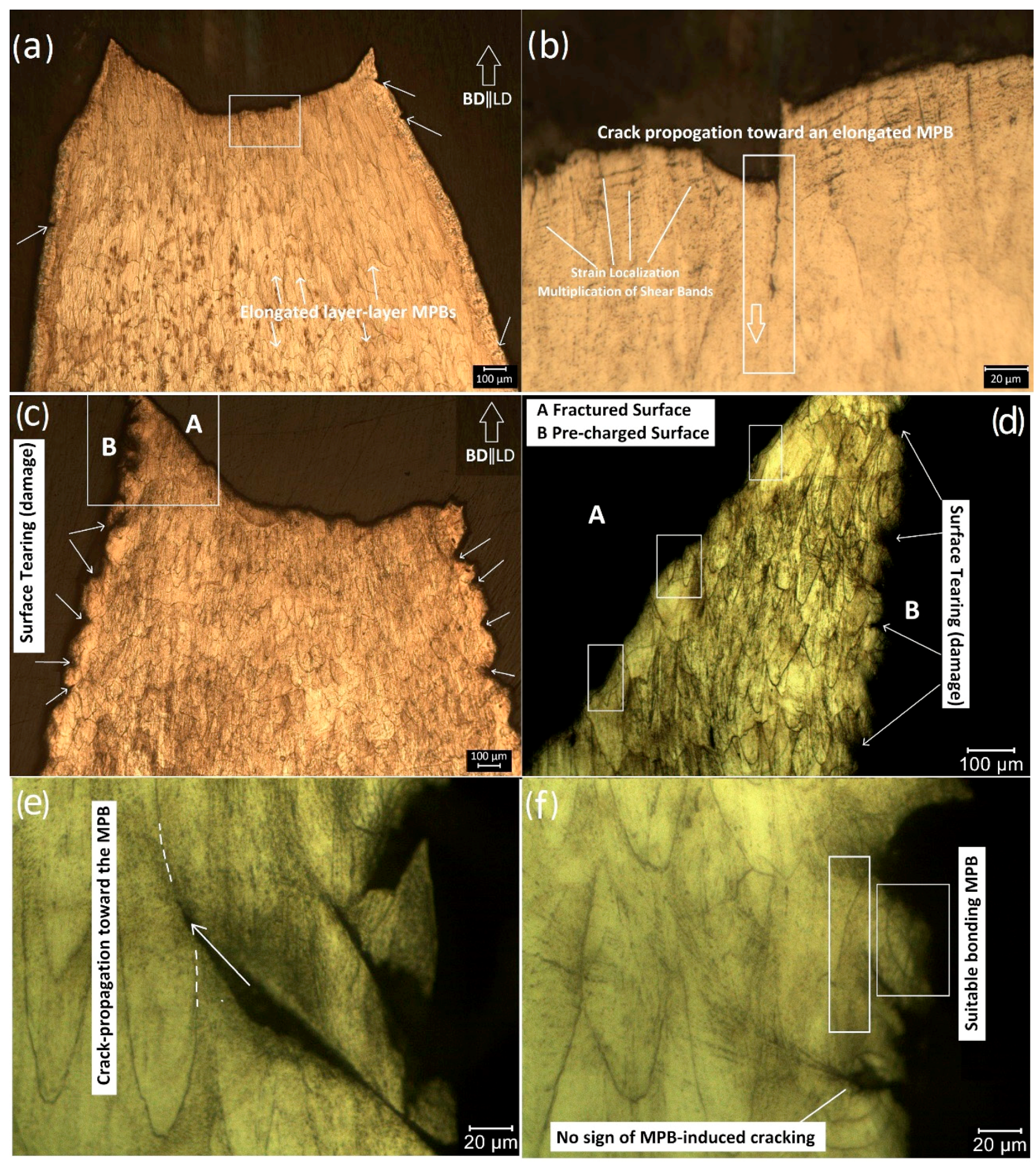 Metals 11 00586 g004