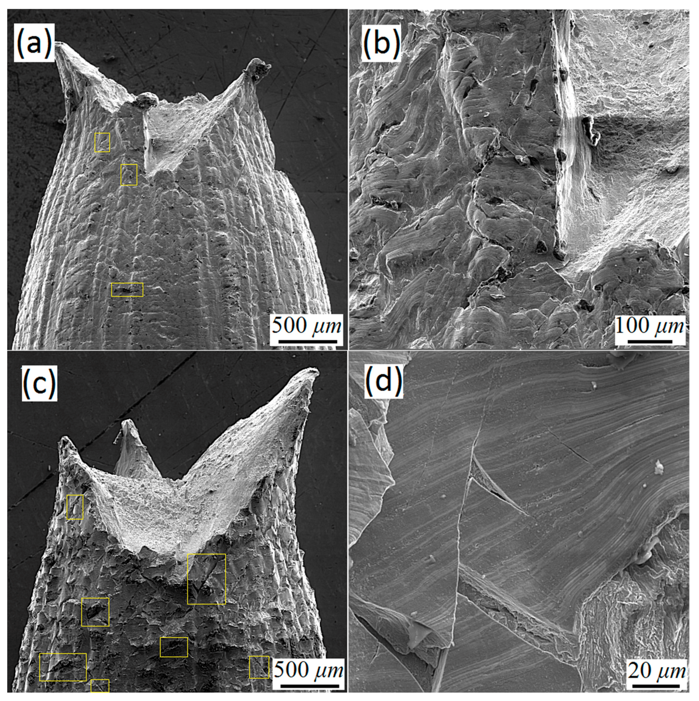 Metals 11 00586 g008