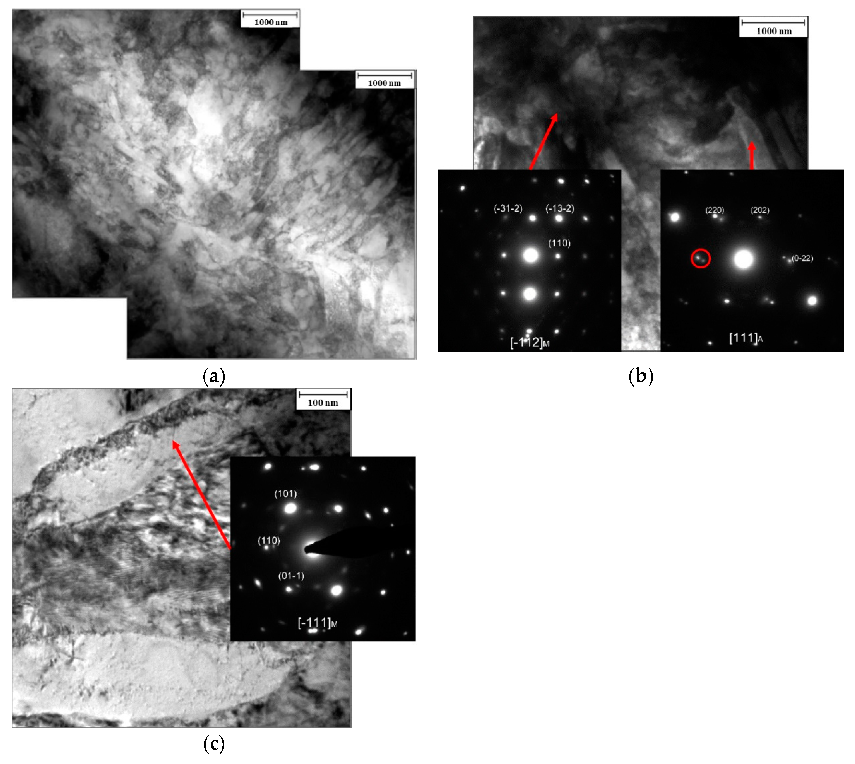Metals 11 00588 g005