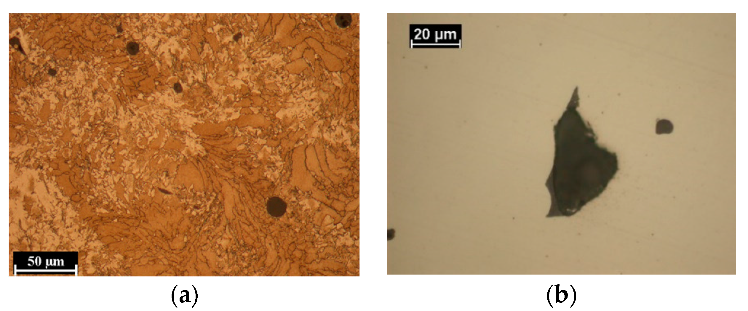 Metals 11 00588 g007