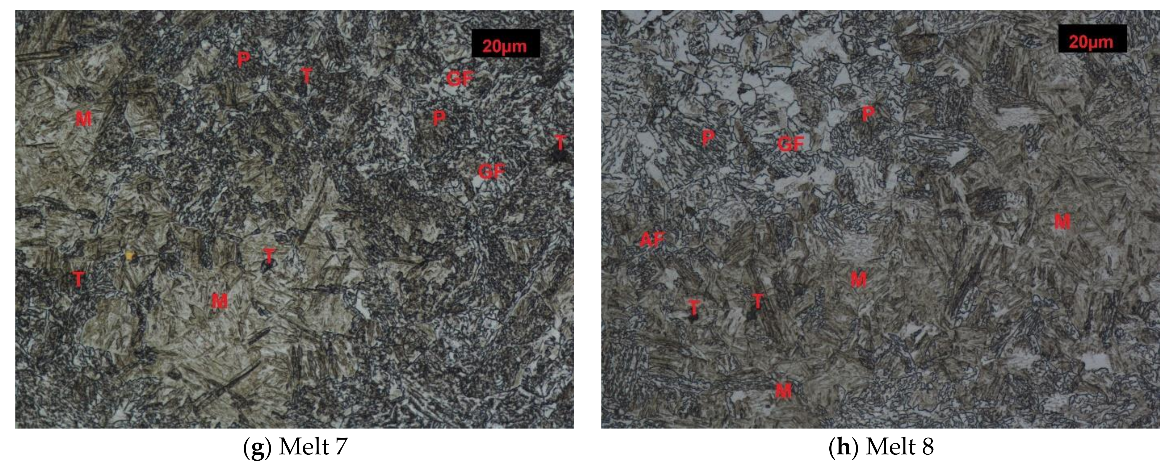 Metals 11 00589 g001b