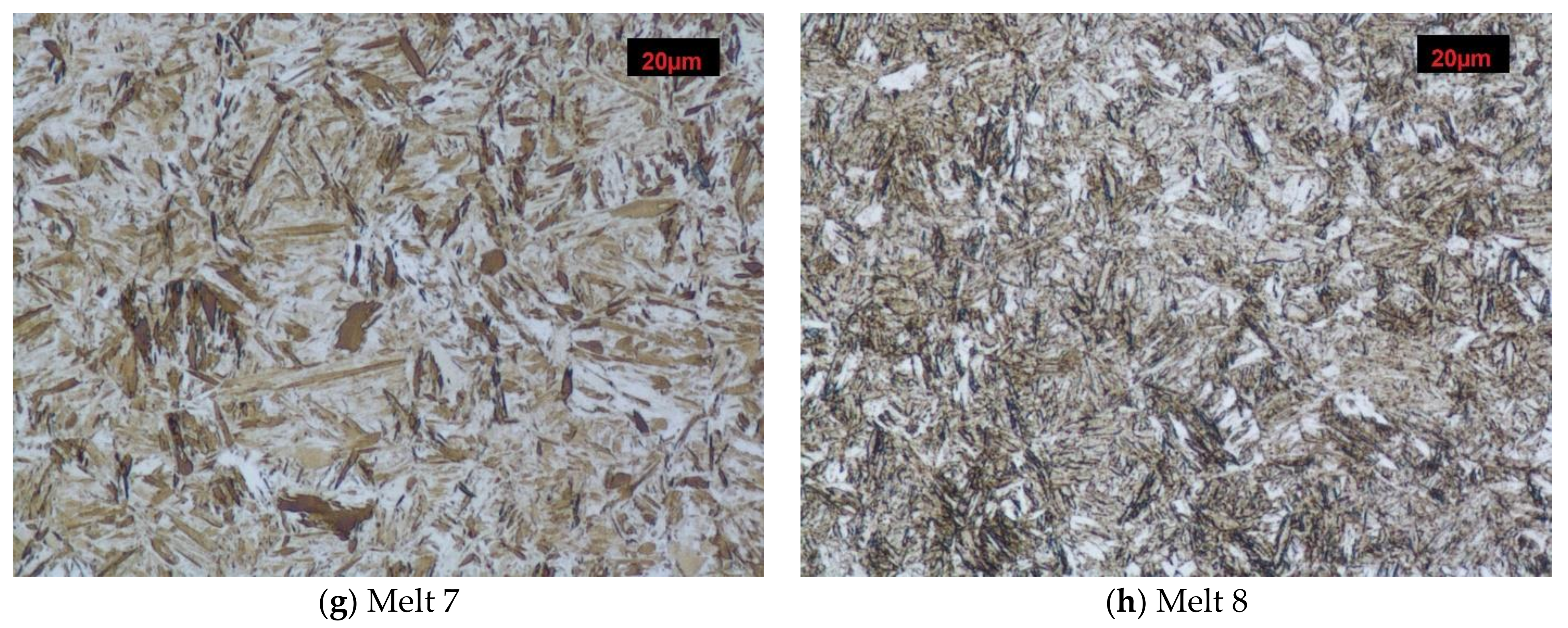 Metals 11 00589 g003b