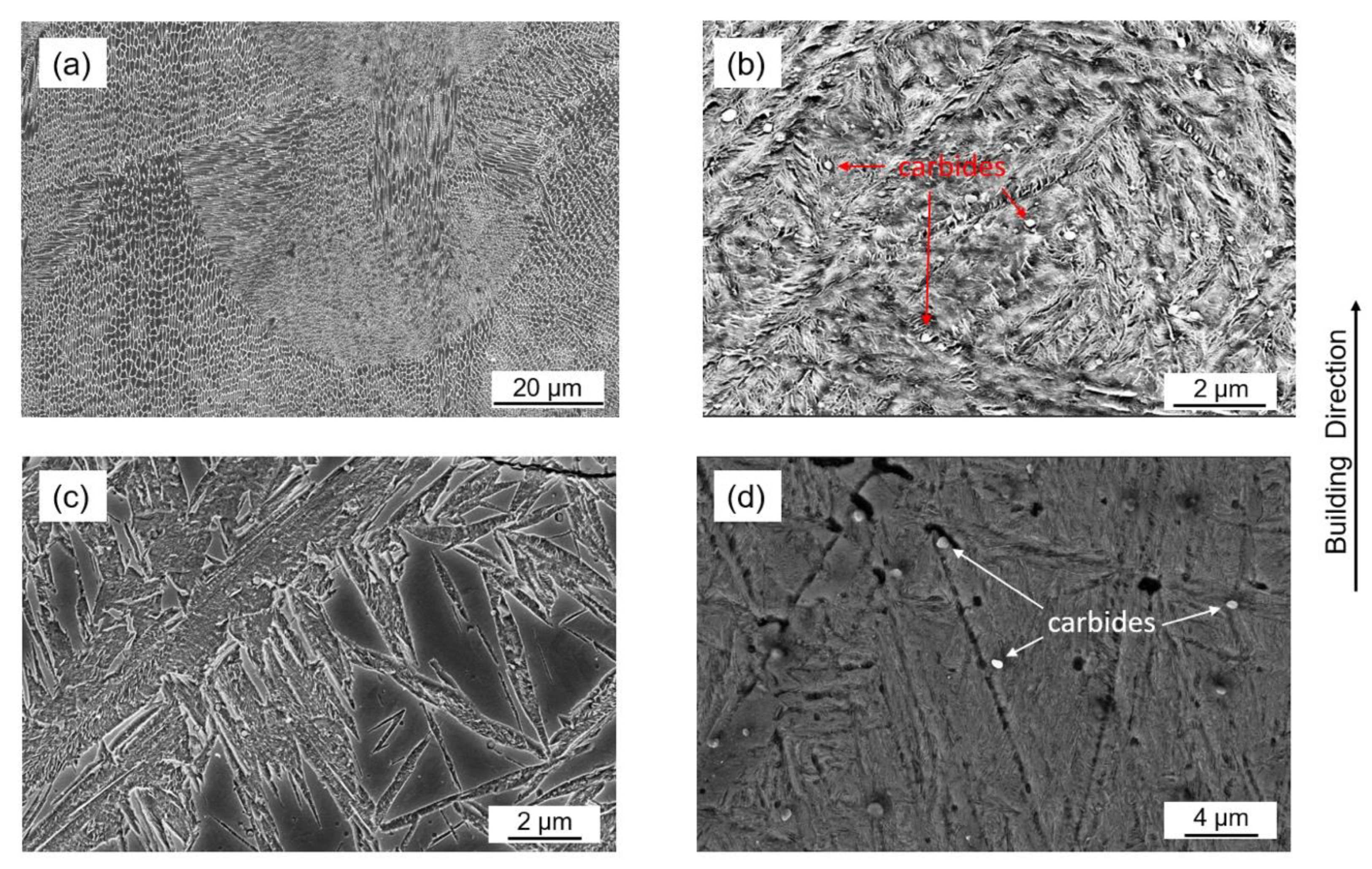 Metals 11 00596 g006