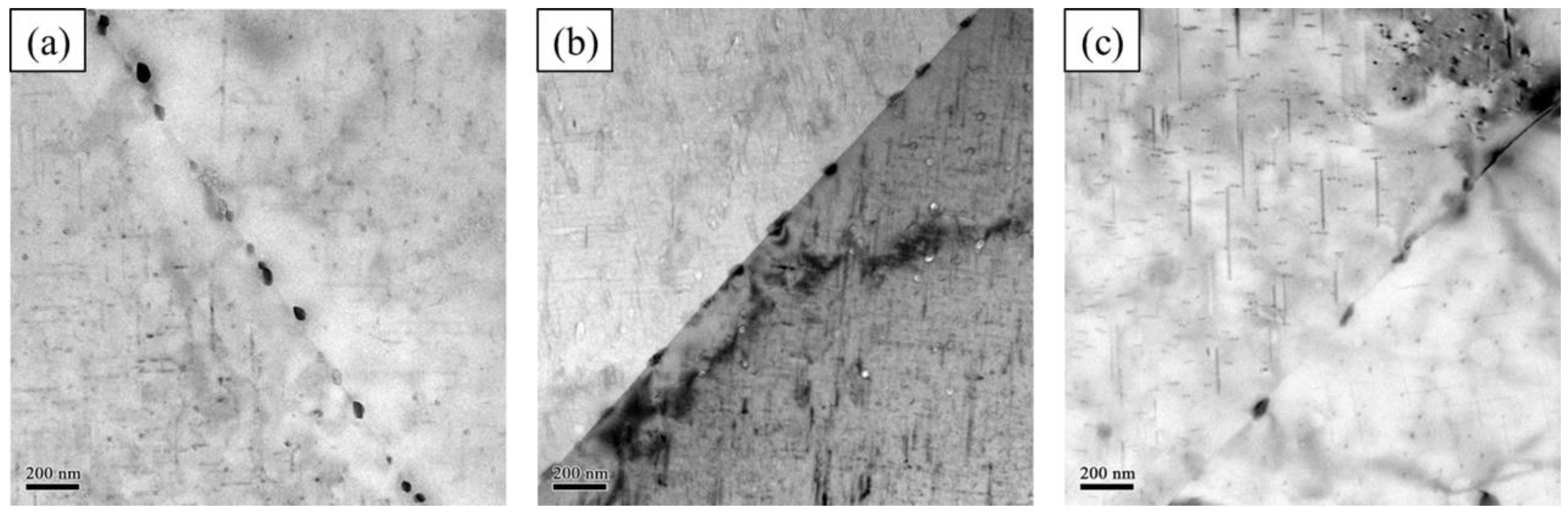 Metals 11 00608 g007