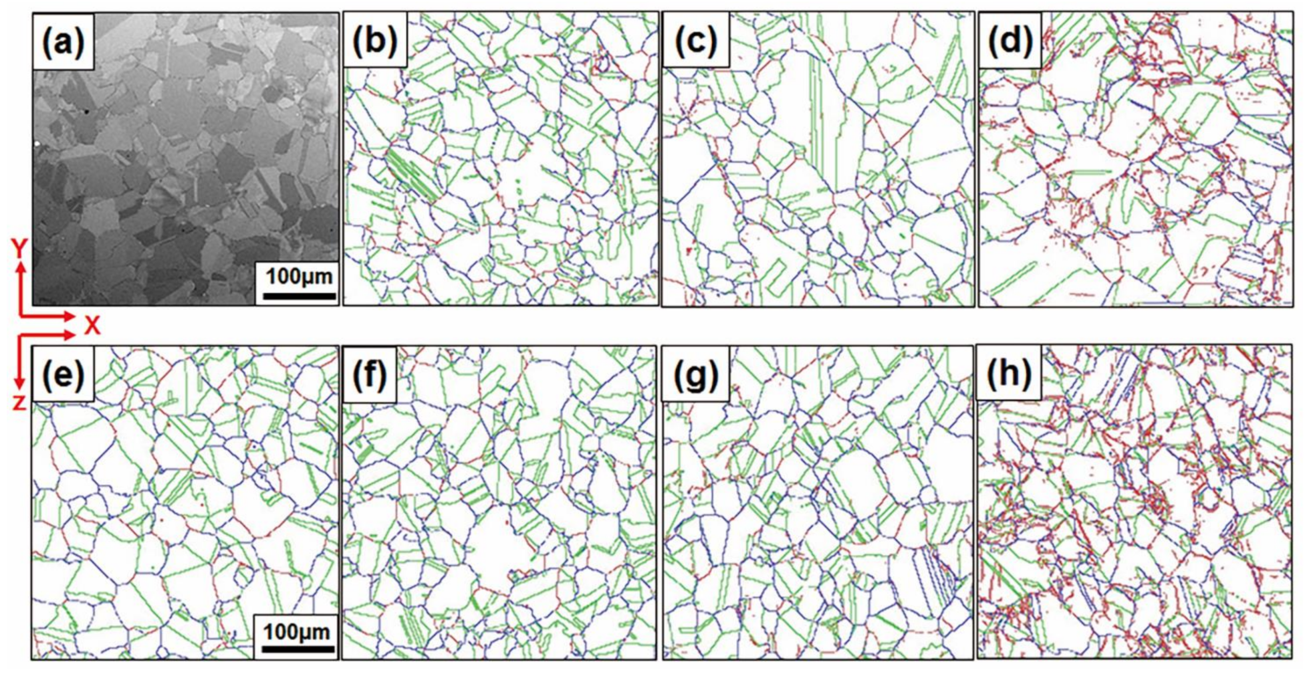 Metals 11 00614 g006
