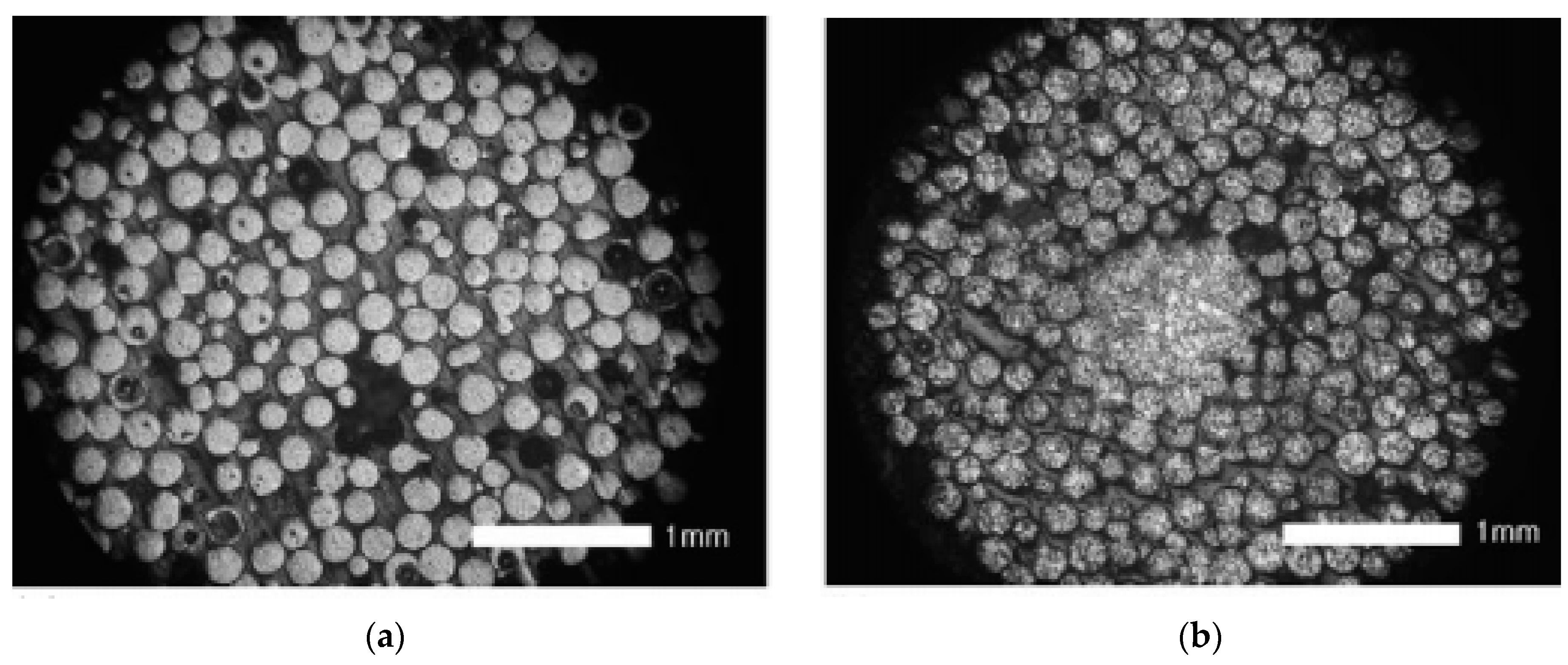 Metals 11 00616 g001